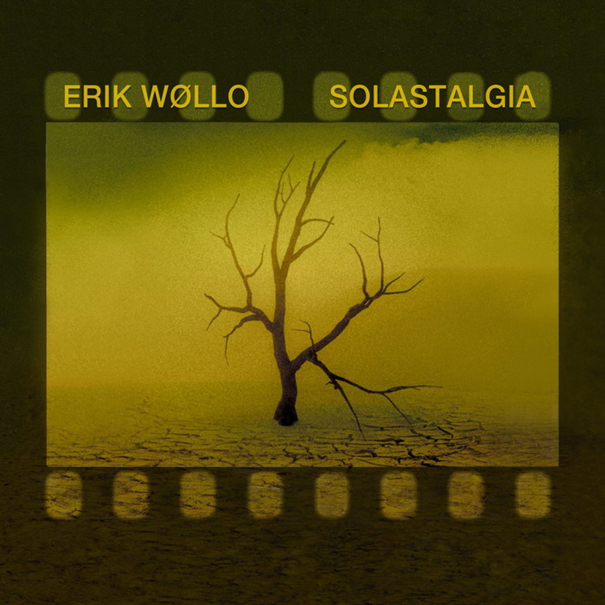 Album cover for Erik Wollo's new album. Bare tree in a 35mm film frame in a desert.