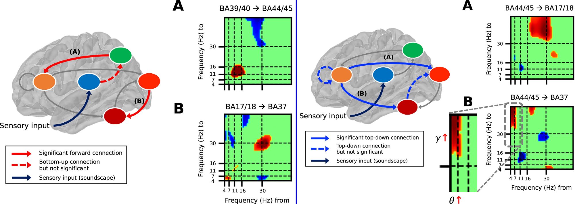 Left half: bottom-up couplings within the visual mental imagery (VMI) model. Right half: top-down couplings within the visual mental imagery (VMI) model.