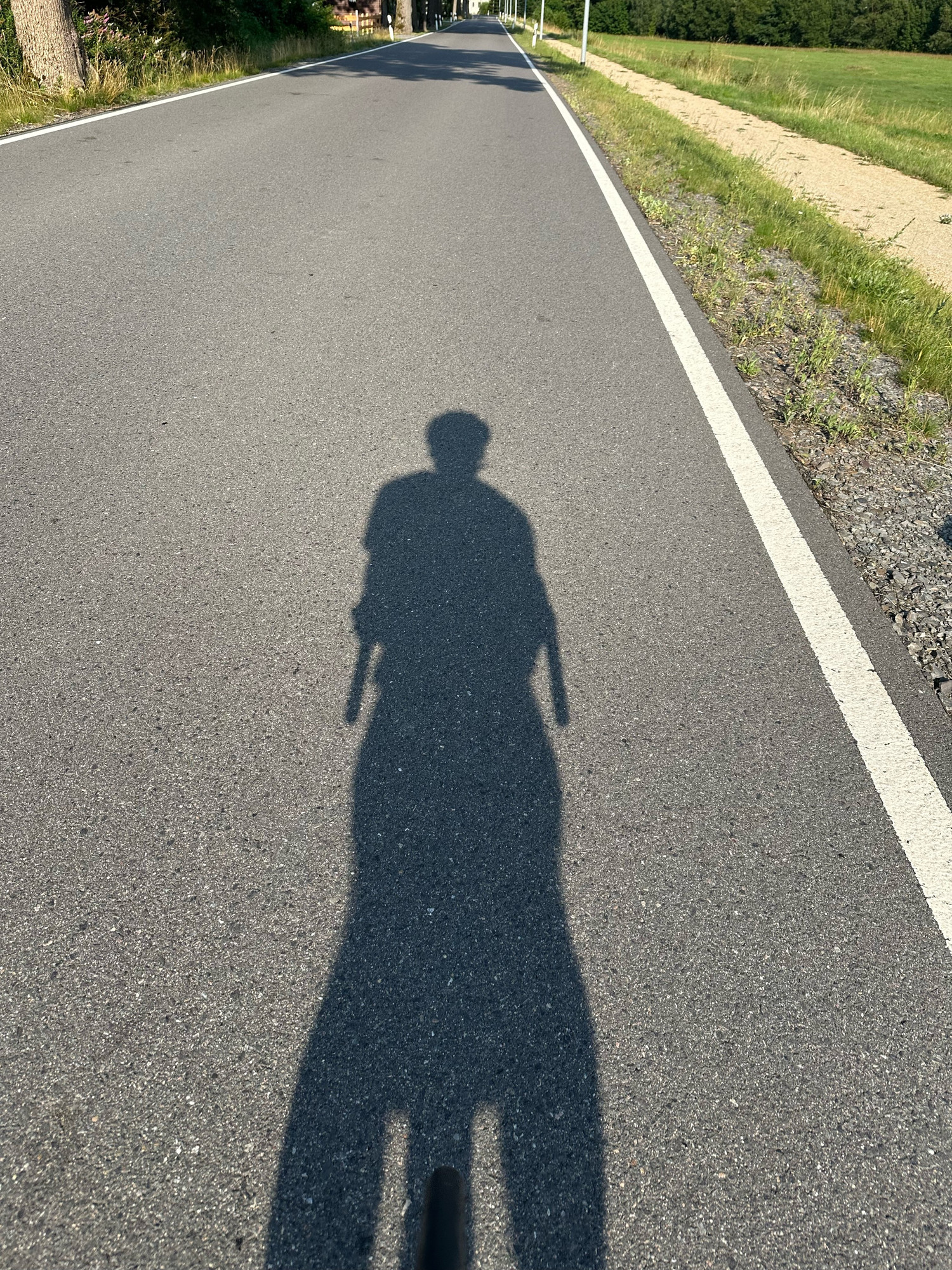 Eine Landstraße und darauf der Schatten eines Rennradfahrers auf dem Rad.