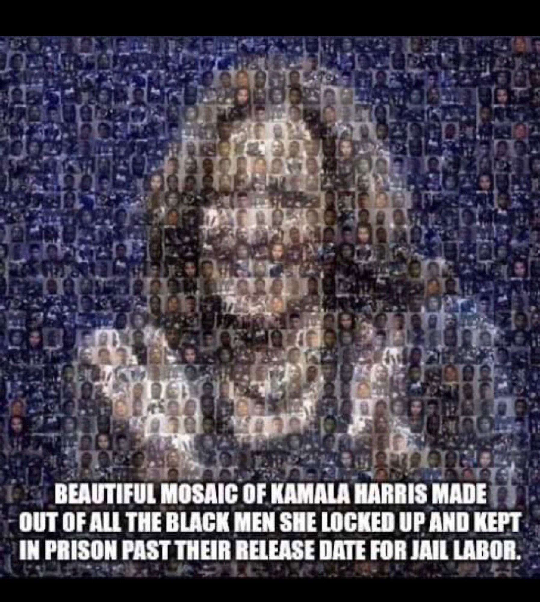 Beautiful mosaic of Kamala Harris made out of all the black men she locked up and kept in prison past their release date for jail
Labor