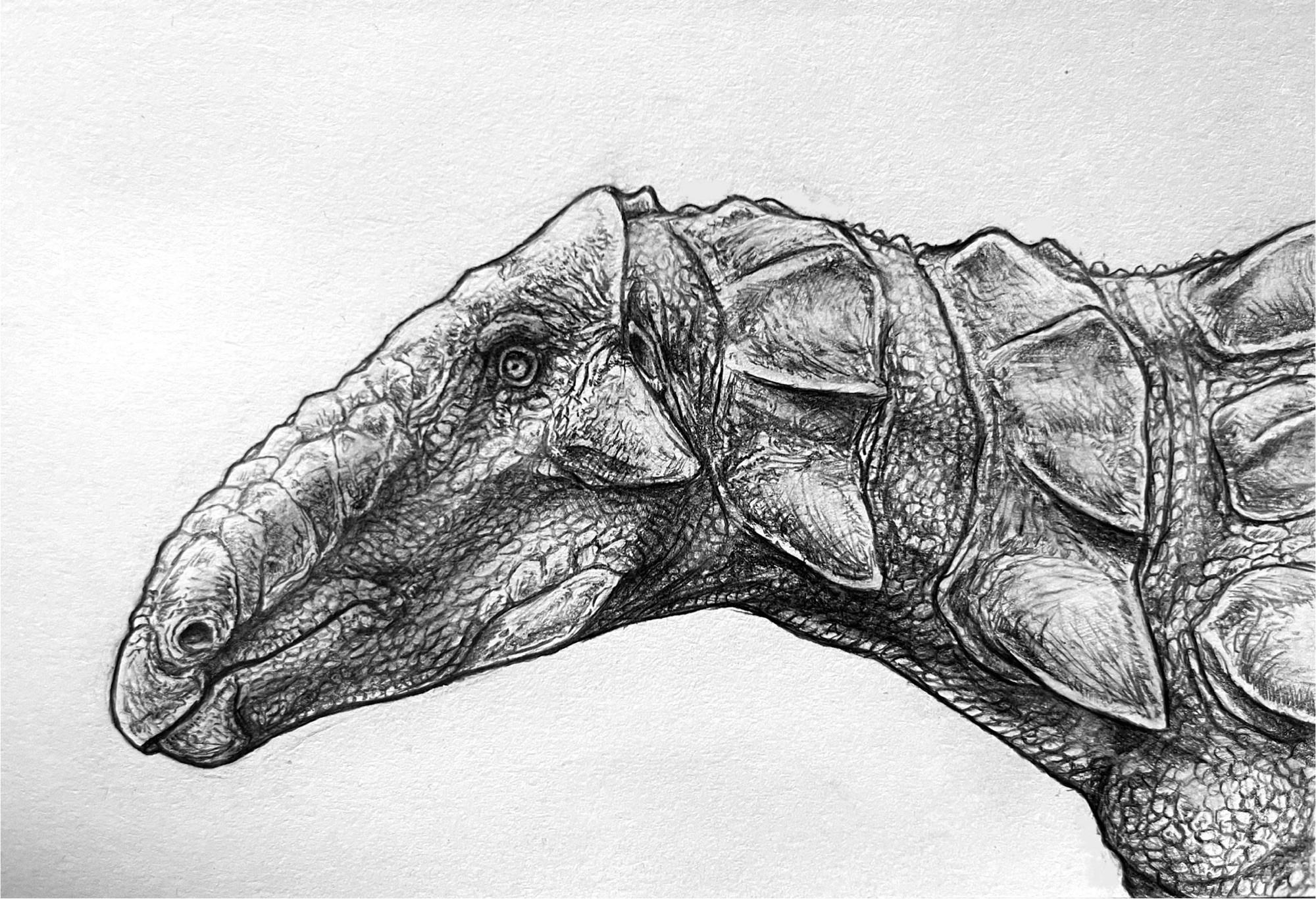 Gargoyleosaurus