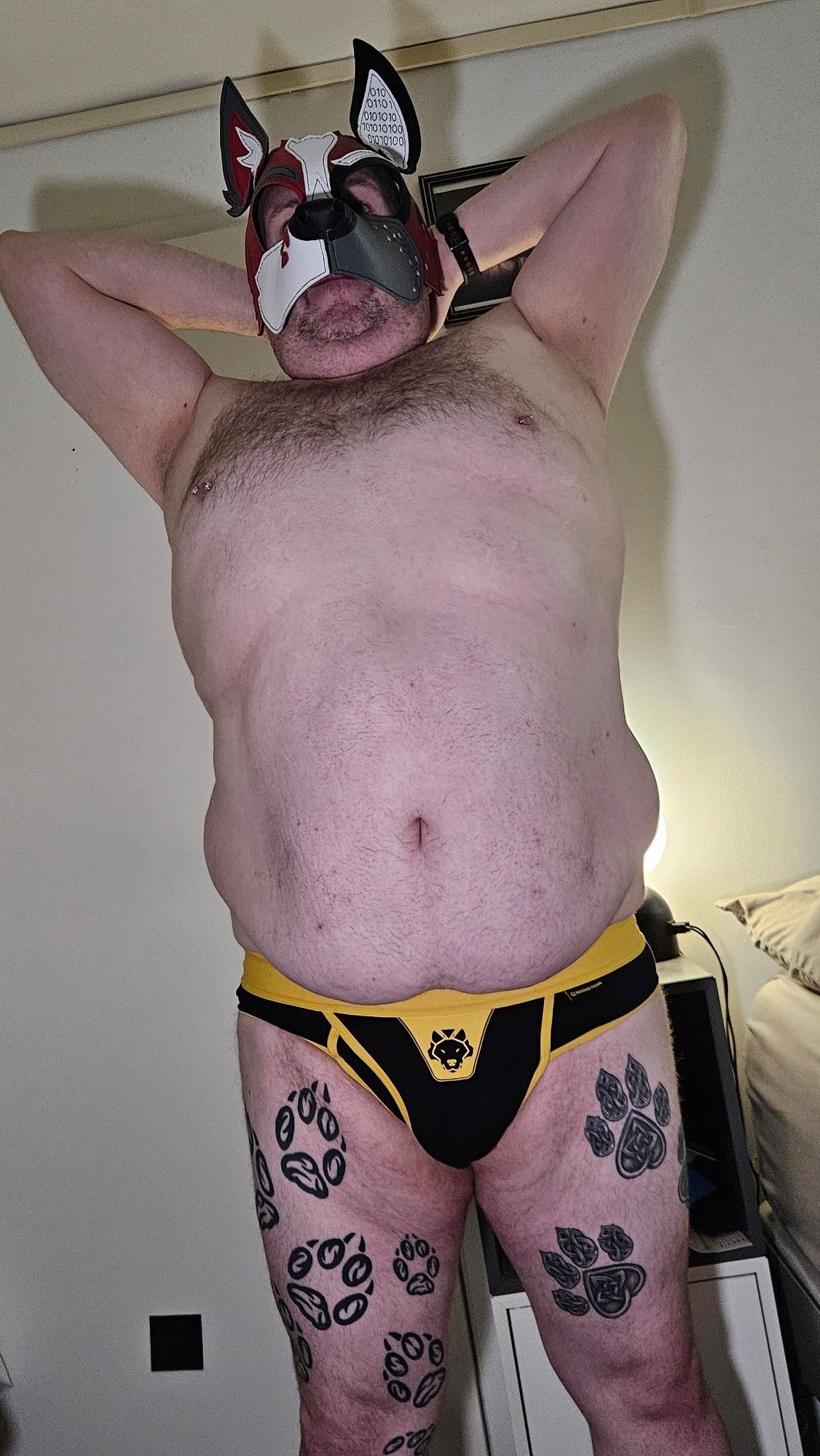 Chubby pup showing off black and yellow jockstrap.