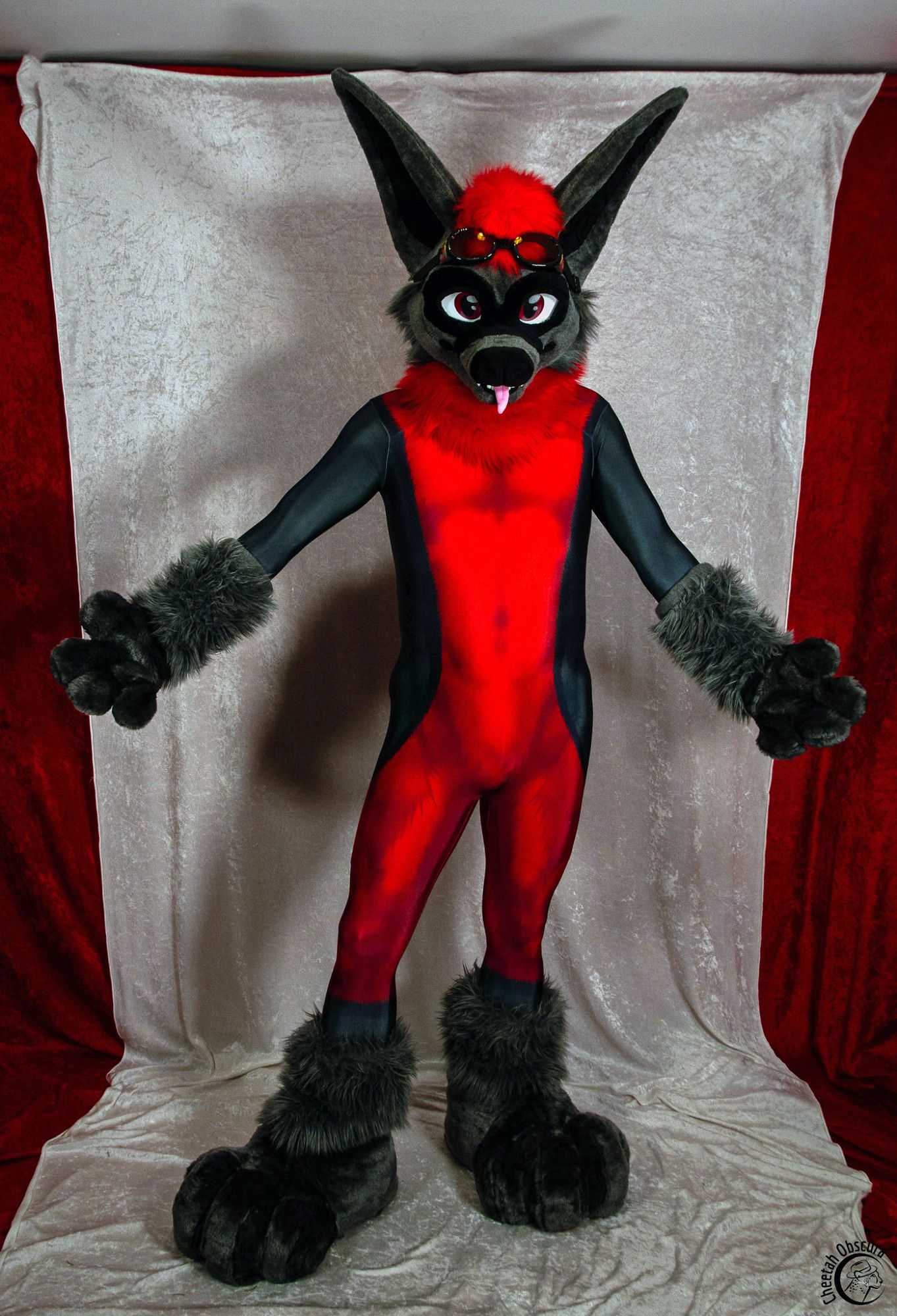 Photo of Kofi bat in fursuit partial and petsuit