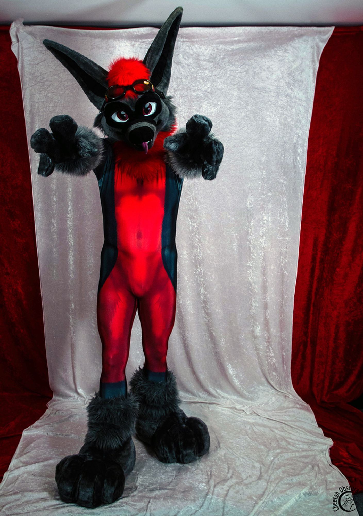 Photo of Kofi bat in fursuit partial and petsuit reaching out towards the viewer