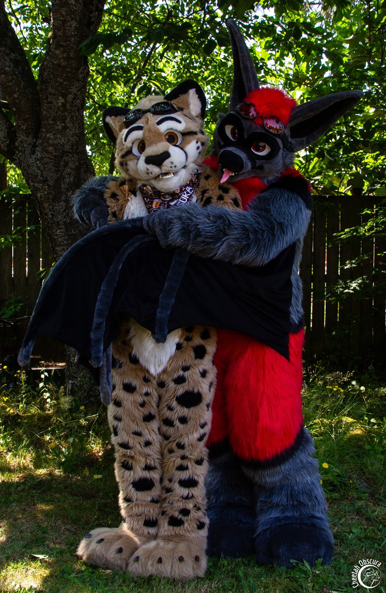 Photo of Kofi bat giving Obscura a big wingwrap hug from behind. They are in a leafy green yard