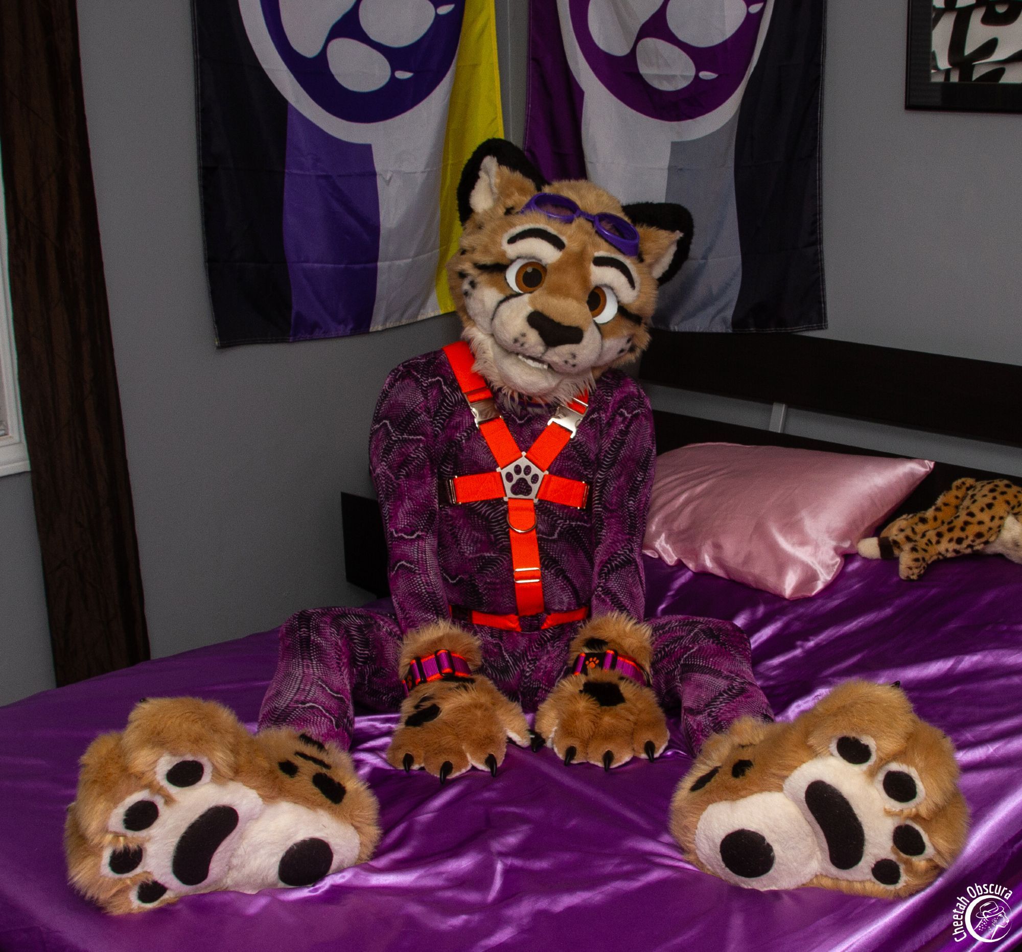 Photo of Obscura in fursuit partial and wearing a purple snake print spandex bodysuit, orange harness, and purple/orange cuffs. They are sitting on a bed with their footpaws out in front of them