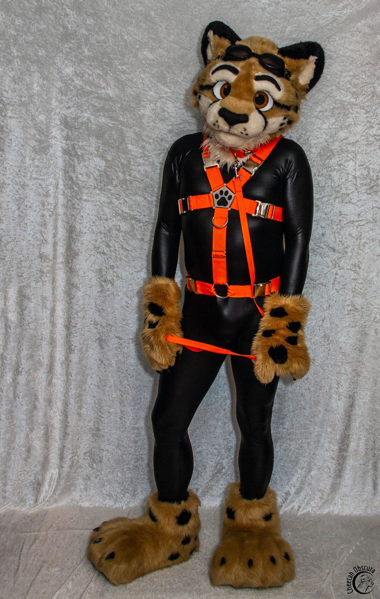 Photo of Obscura in fursuit partial and wearing a shiny black spandex catsuit, orange harness, and orange collar/leash