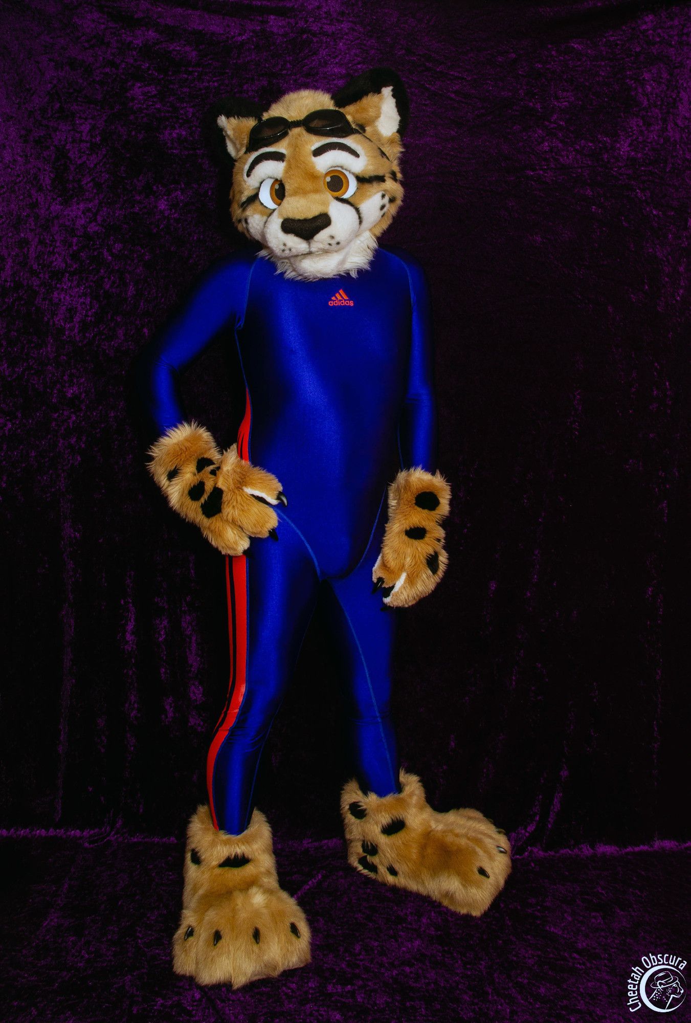 Photo of Obscura in fursuit partial and wearing a blue Adidas full body swimsuit