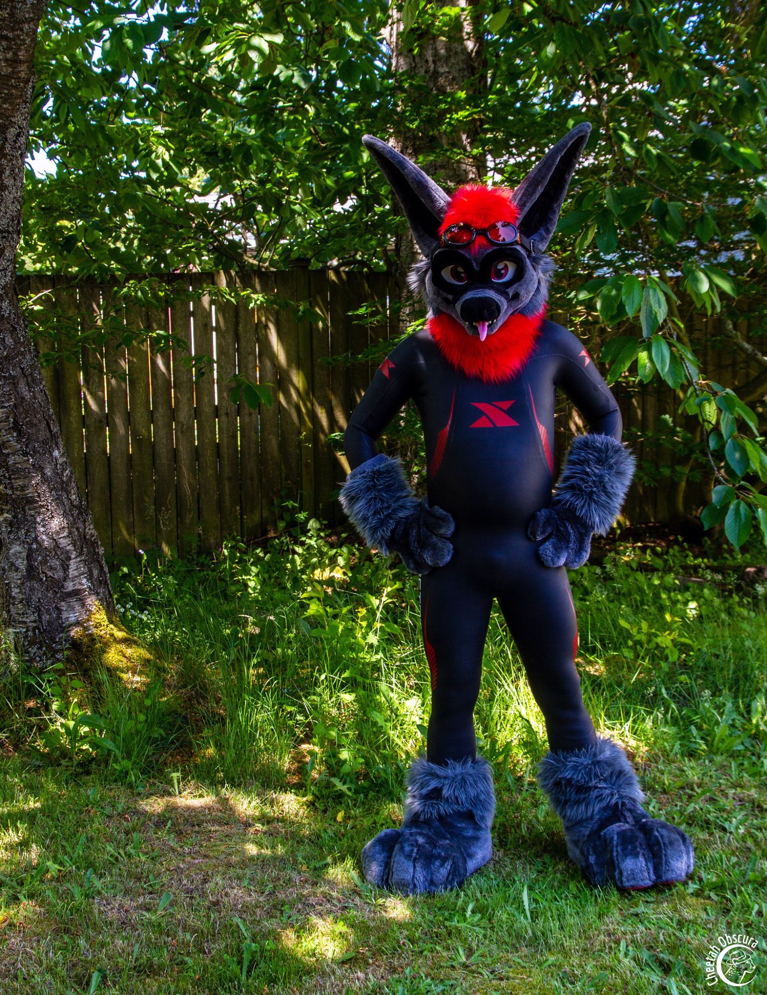 Photo of Kofi bat in fursuit partial and wearing a red and black Xterra wetsuit