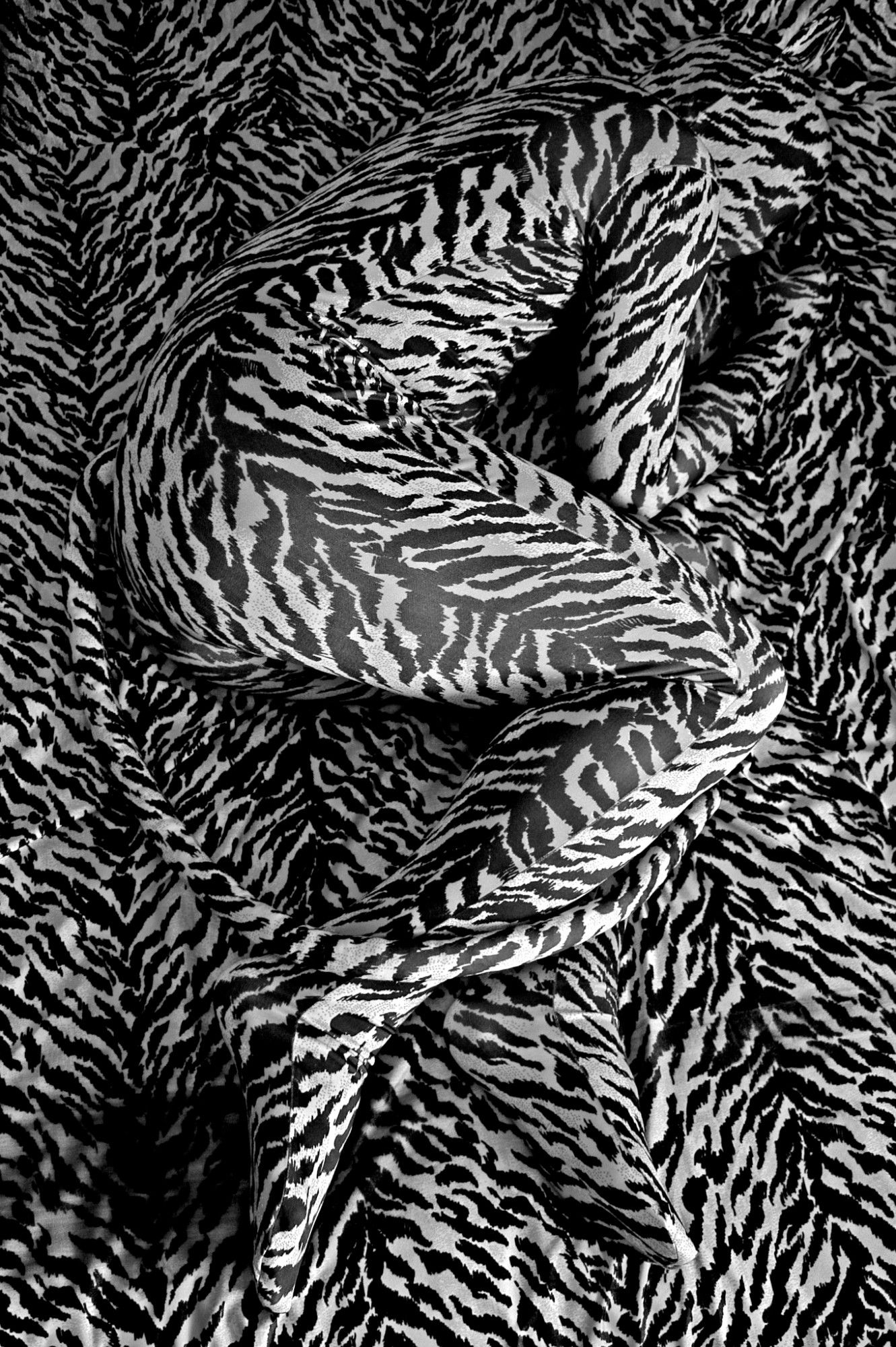 Black and white photo of a figure in a tiger print zentai laying on a tiger print background