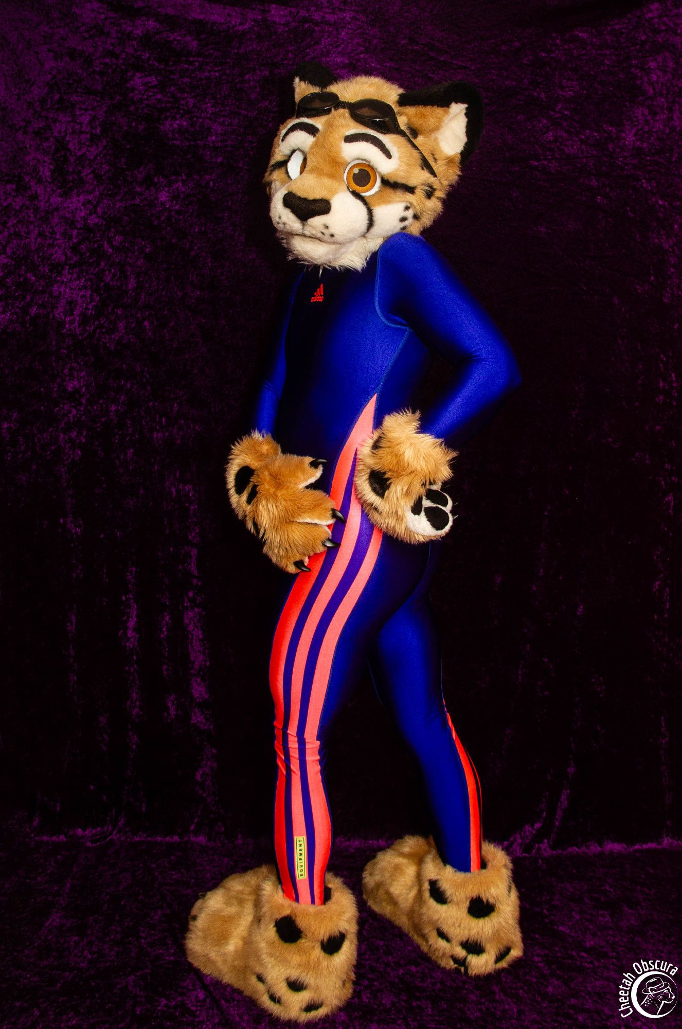 Photo of Obscura in fursuit partial and wearing a blue Adidas full body swimsuit