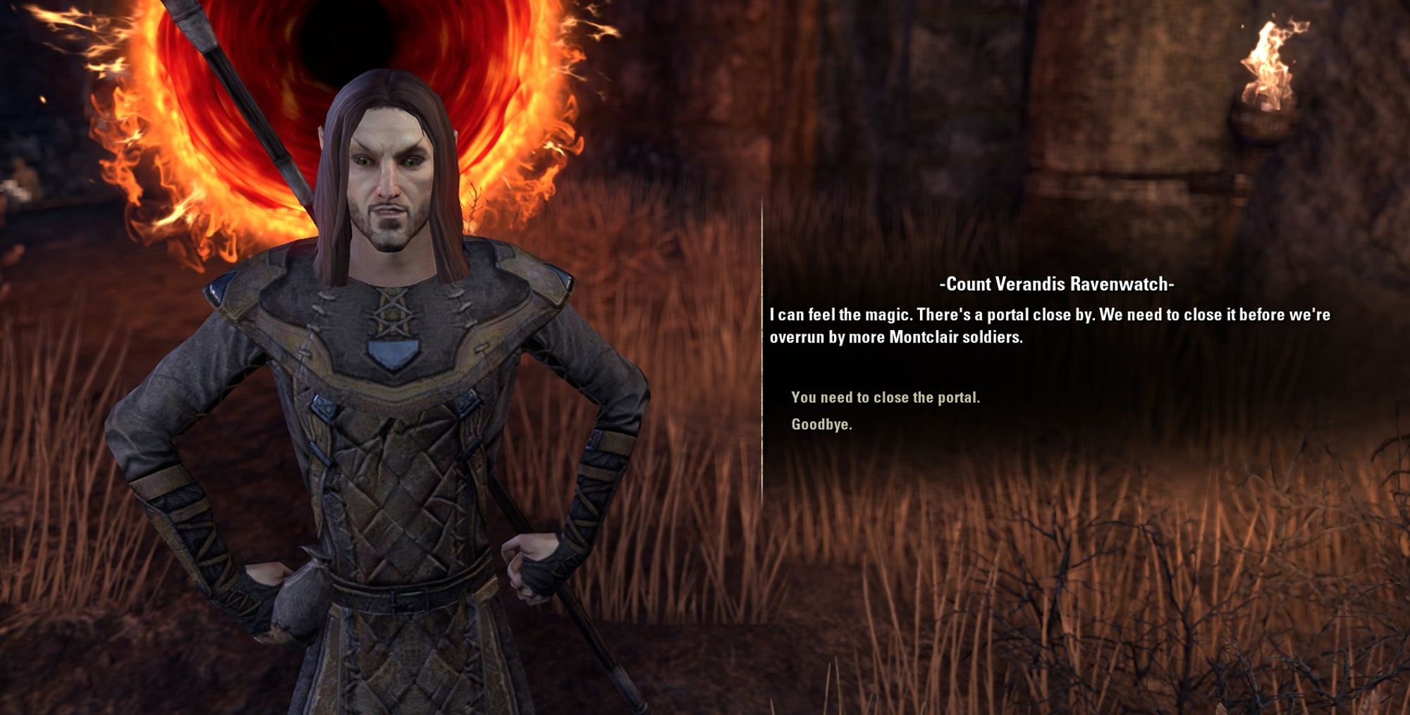 ESO screenshot. Count Verandis Ravenwatch says: I can feel the magic. There's a portal close by. The portal can be seen directly behind him.