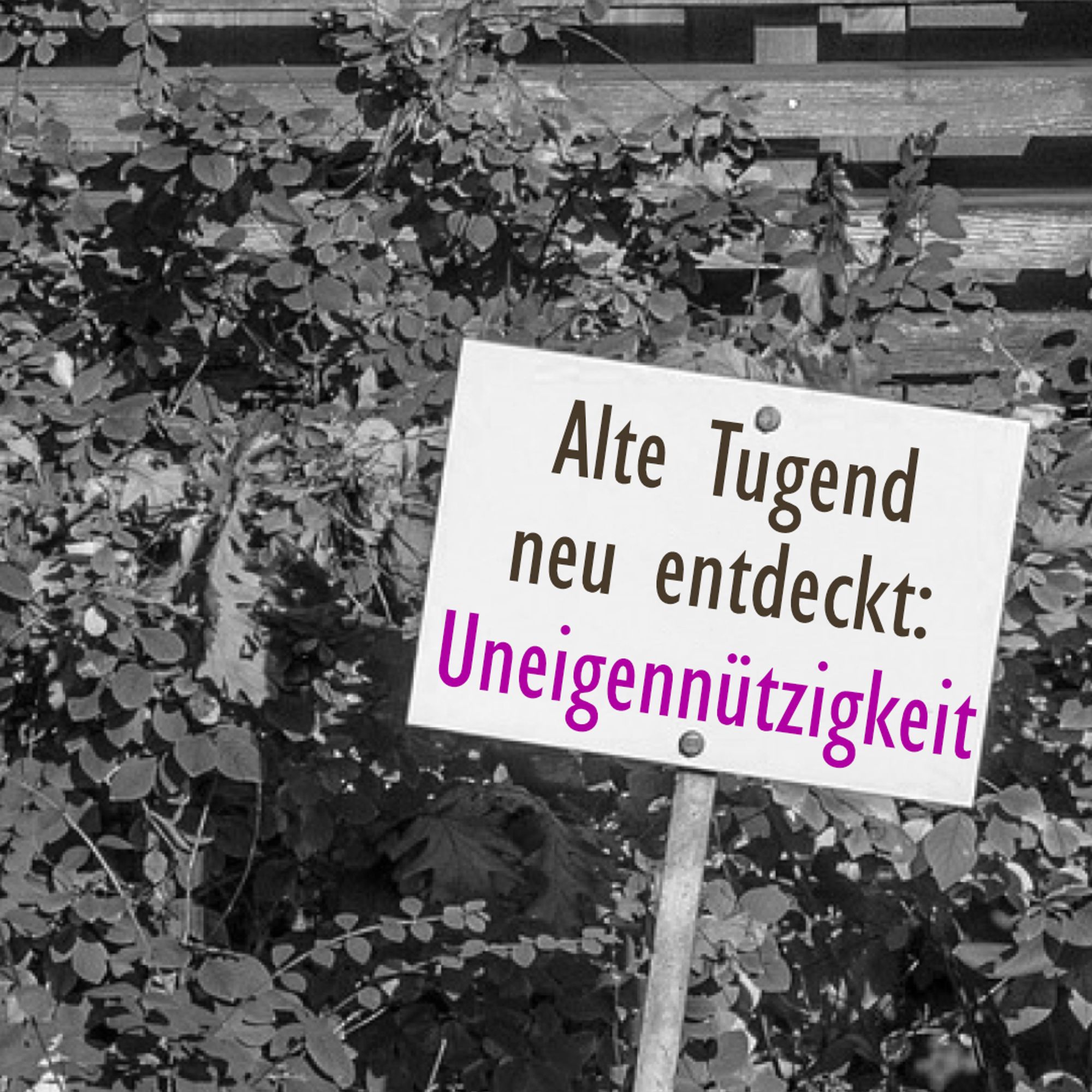 Schild mit Text "Alte Tugenden neu entdeckt: Uneigennützigkeit!"