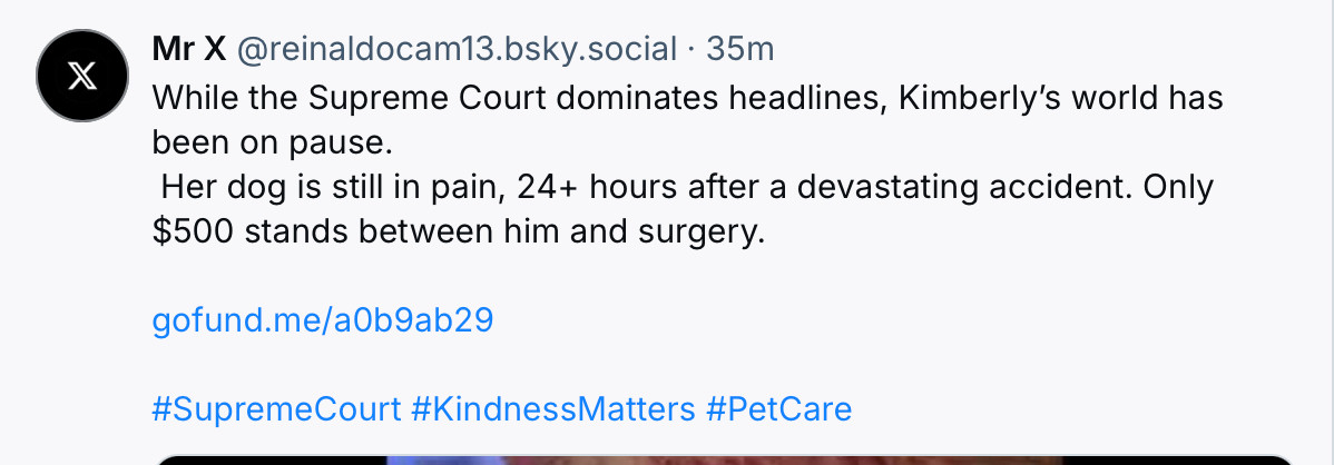 Mr X @reinaldocam13.bsky.social • 35m
While the Supreme Court dominates headlines, Kimberly's world has been on pause.
Her dog is still in pain, 24+ hours after a devastating accident. Only $500 stands between him and surgery.
gofund.me/aOb9ab29
#SupremeCourt #KindnessMatters #PetCare