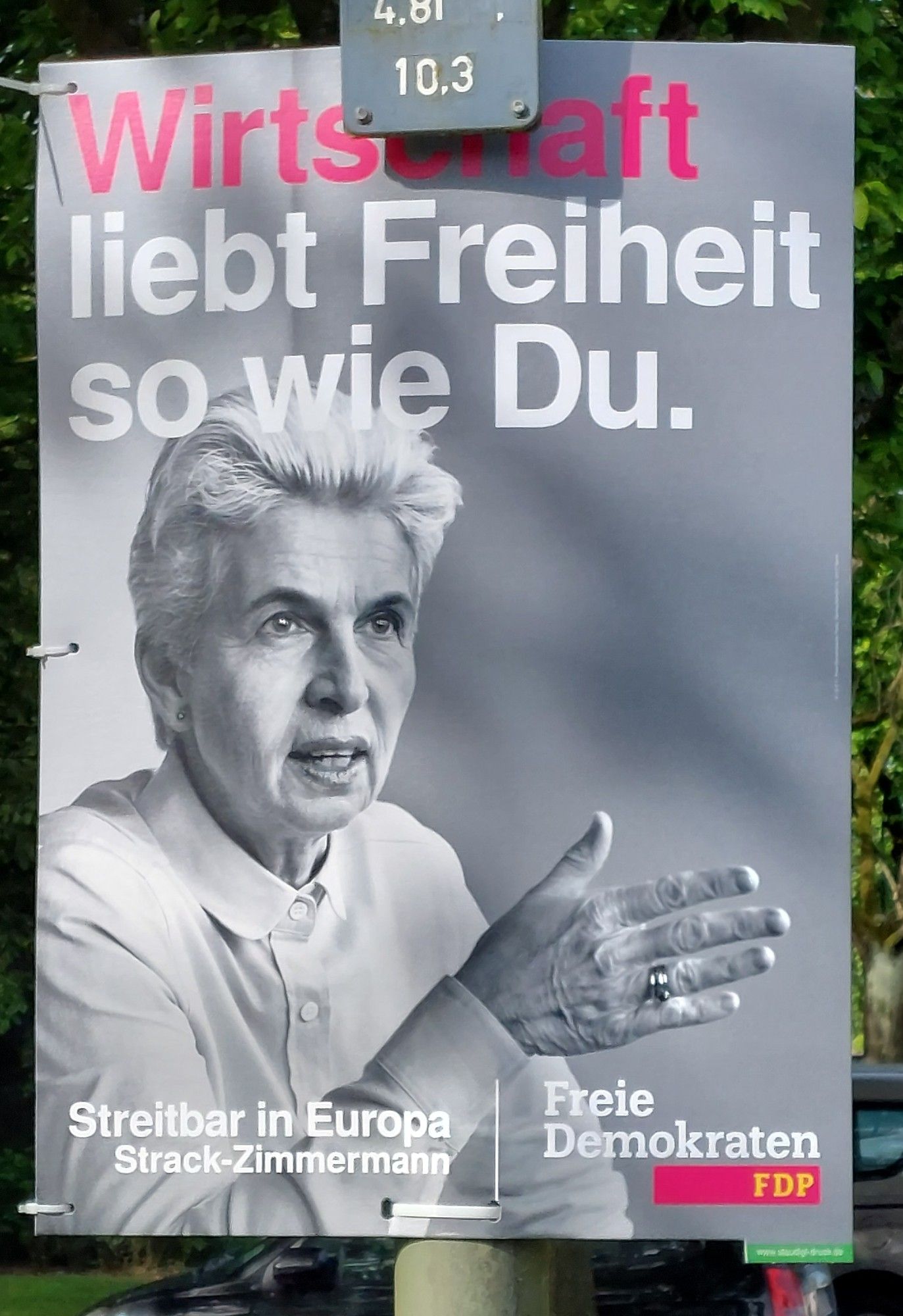 FDP-Plakat zur aktuellen EU-Wahl mit Strack-Zimmermann.