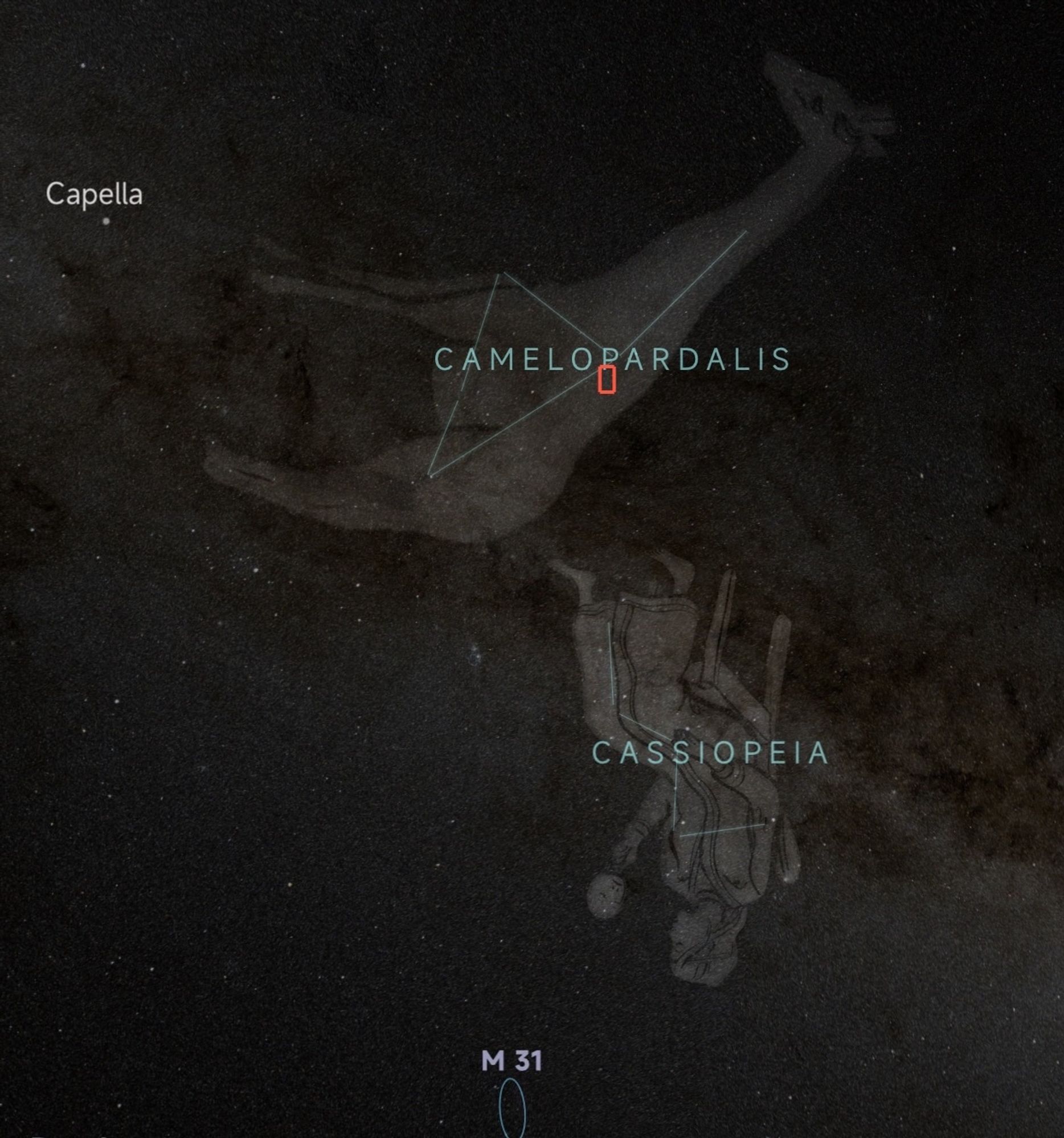 A sky map of the Northern Hemisphere.  Two constellations are marked.  The famous W of cassiopeia, with a barefoot lady overdrawn looking sadly into a mirror.  Above her is a massive Giraffe:  Camelopardalis.  As ever the star-shapes of the constellations don't look anything like the pictures that are overlaid.  I often think the cartographers of old drank too much rum to keep them warm....  
This image is a screenshot from the SeeStar app, which is free to download.