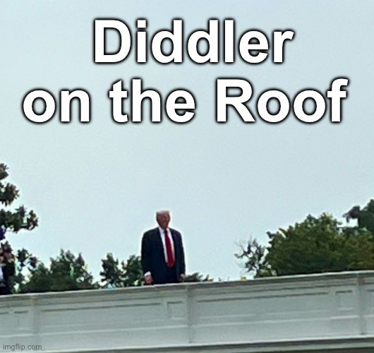 Trump on the Roof