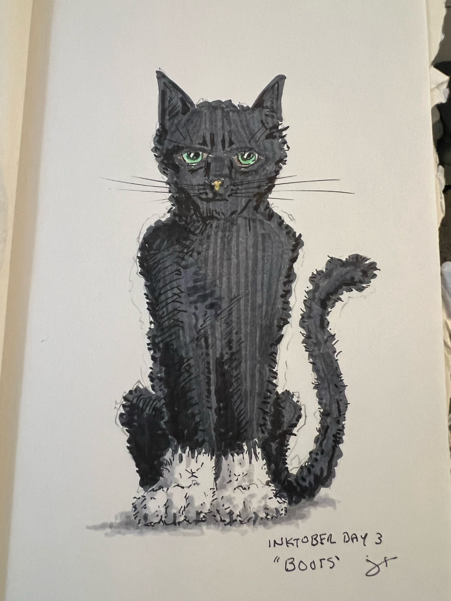 Inktober Day 3 prompt “Boots”. Pen & ink & monochrome marker set of a black cat with front white paws directly facing the viewer.