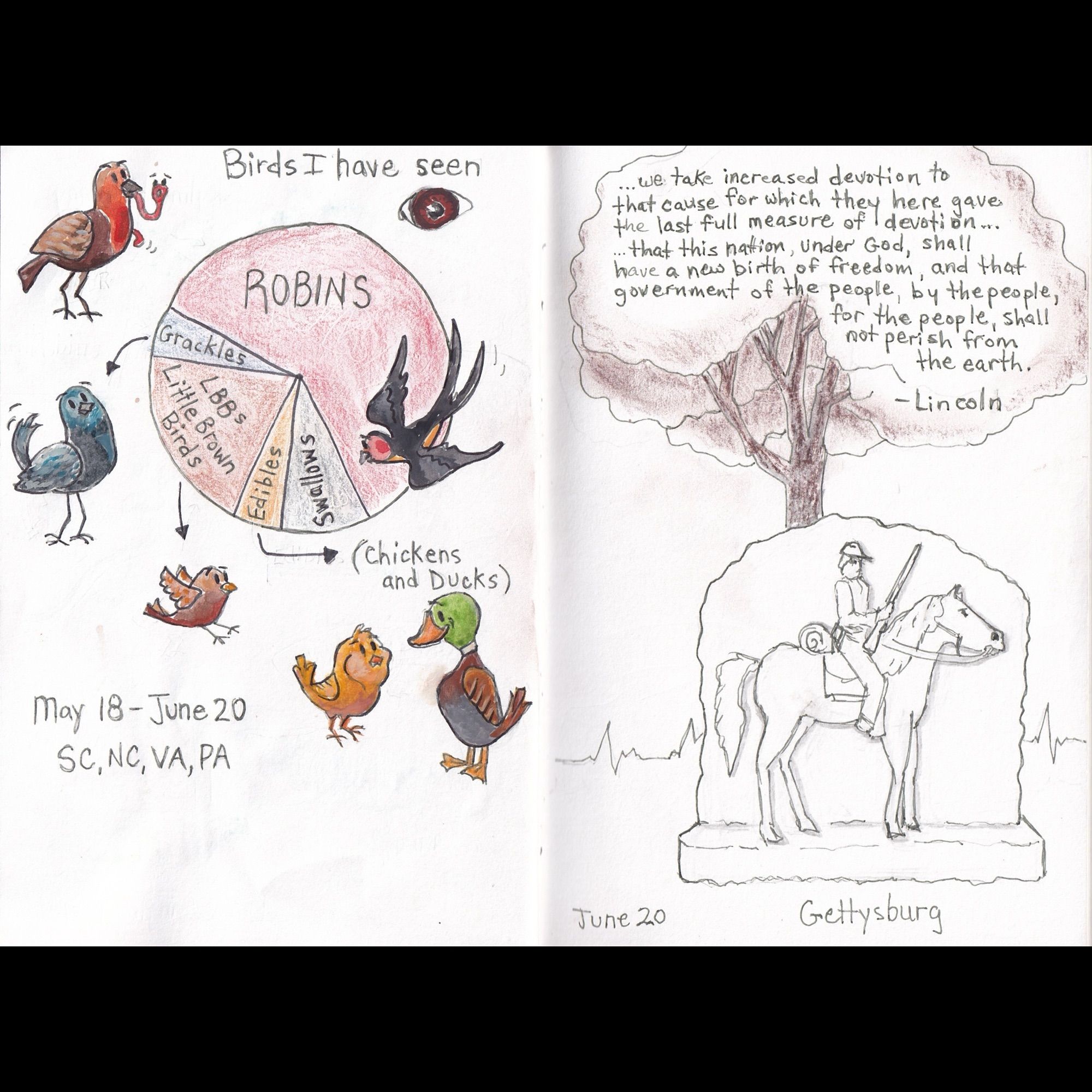 Illustrated Journal pages about birds and gettysburg