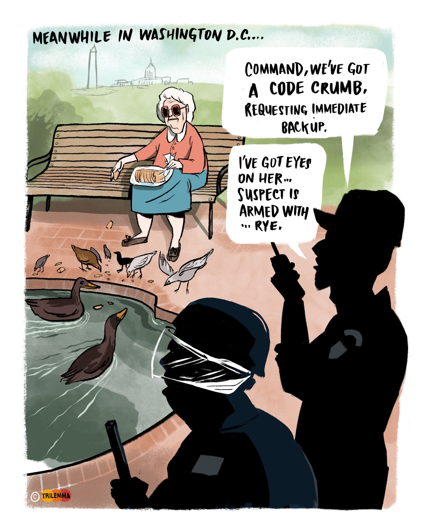 Old grandma sits on a park bench in a Washington D.C. park feeding ducks and birds.  In the foreground, two national guard troops stand sizing up the situation. 

They say "Command, we've got a Code Crumb. Requesting immediate backup."
"I've got eyes on her... the suspect is armed with...rye."