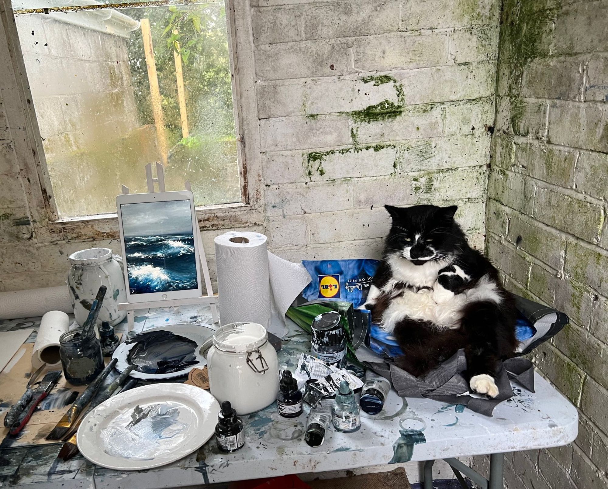 Collection of paints, brushes and pots on an old table. In the corner a large very fluffy cat sprawls in decadence