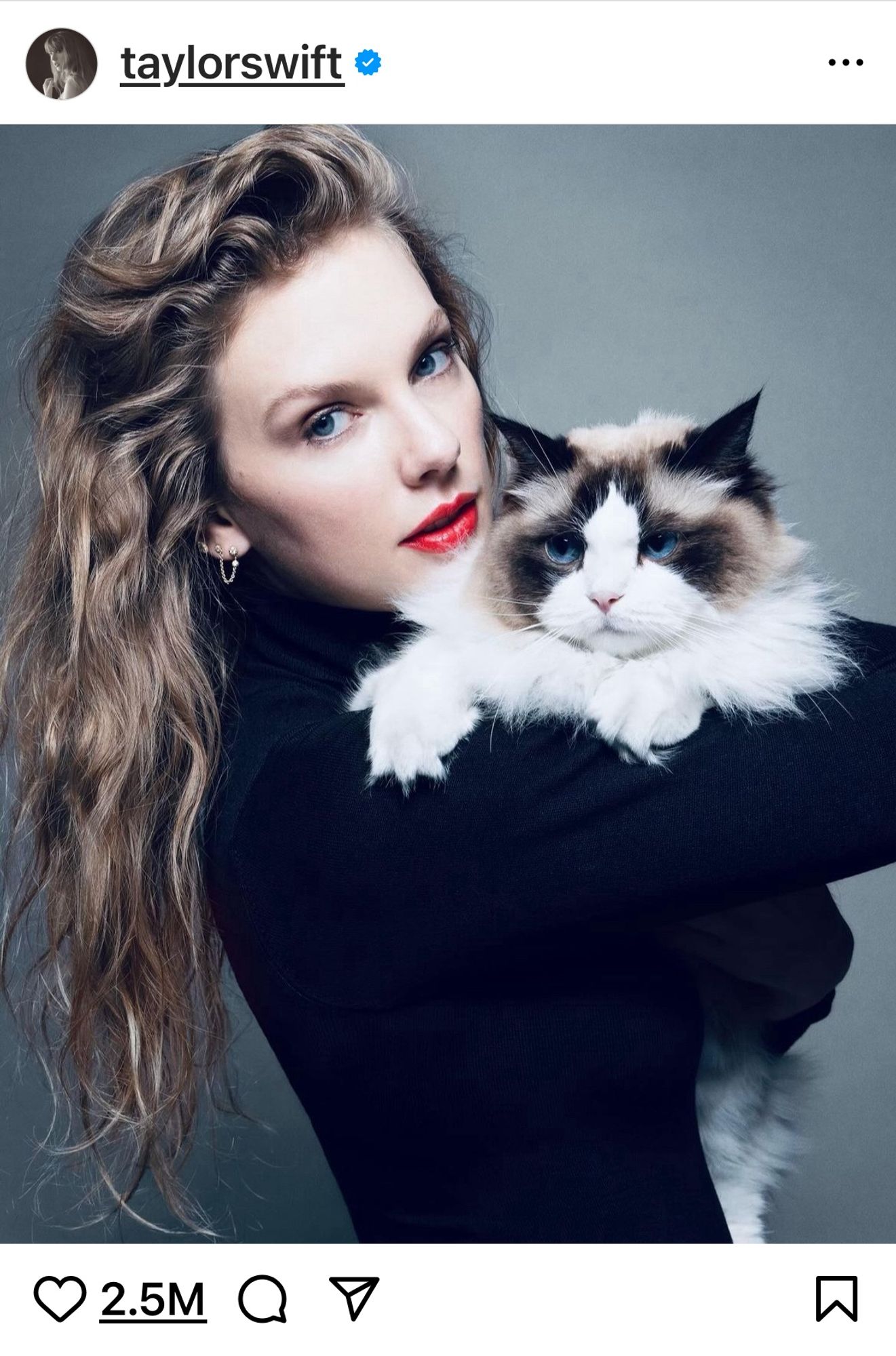 Taylor holding a cat