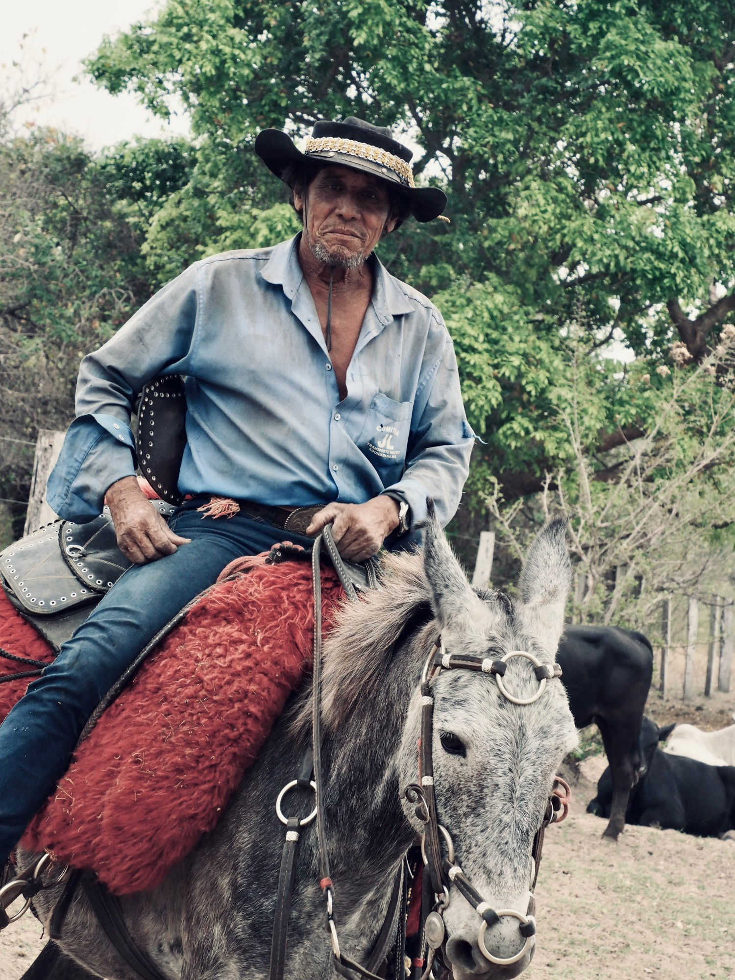 vaqueiro pantaneiro montando em seu cavalo olha para a câmera. Pantanal Cowboy riding a horse looks at the camera.