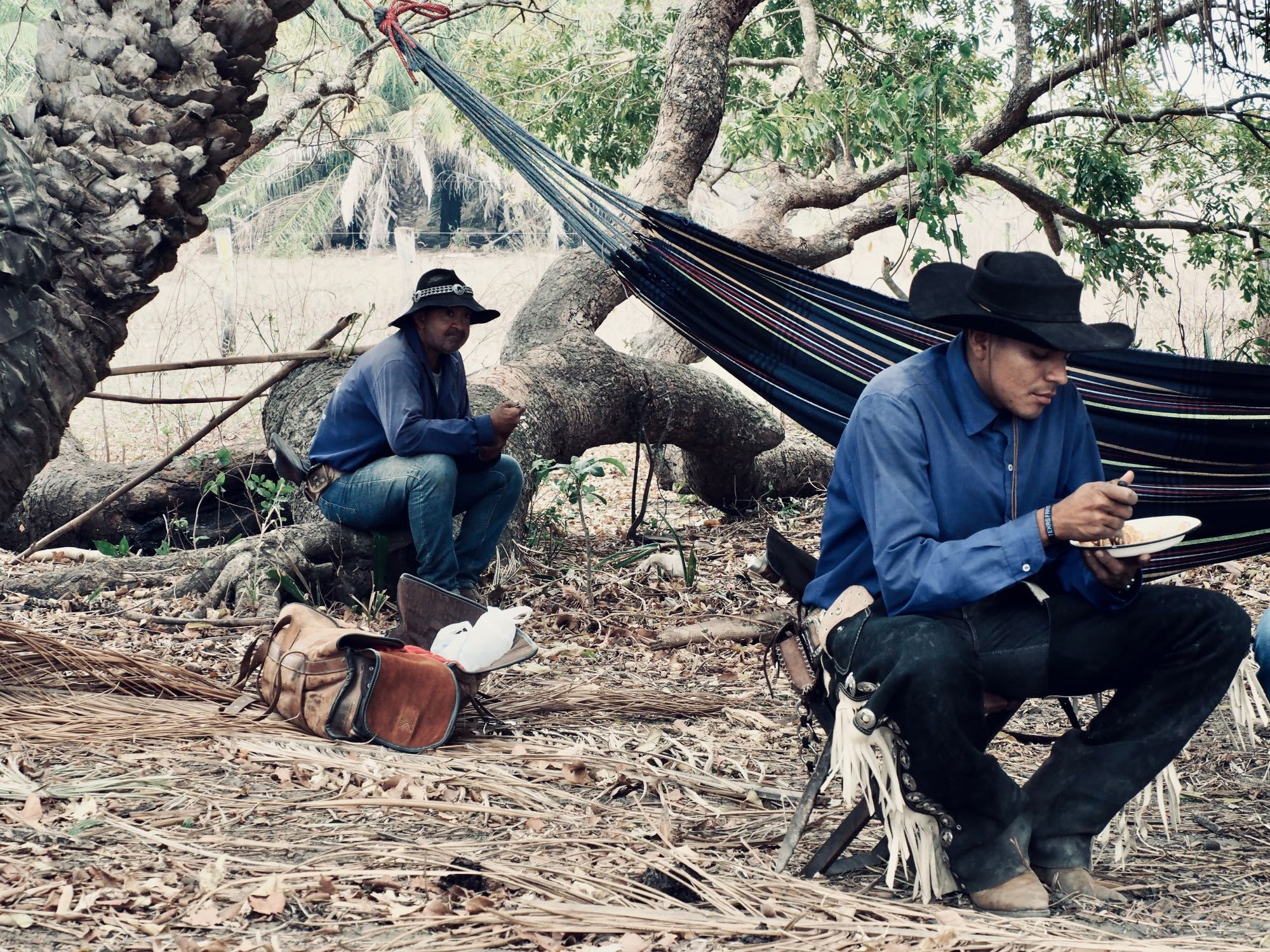 Pantaneiros almoçando à sombra de árvores. Cowboys lunching at the shade of trees