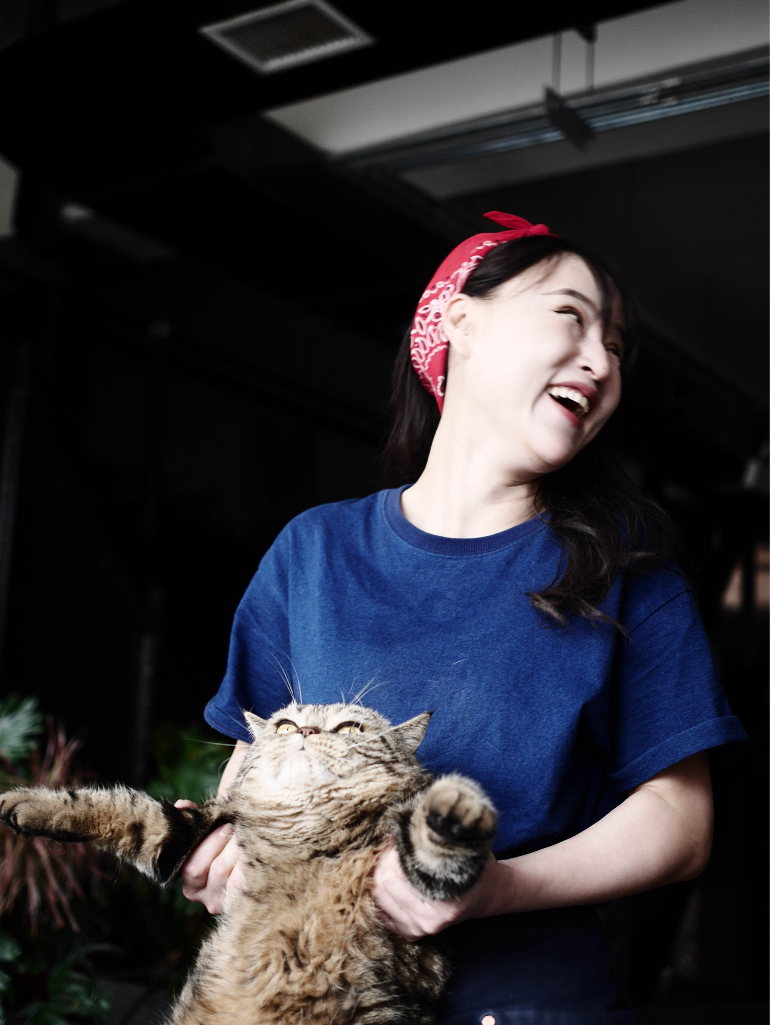 Girl with red ribbon laughing and holding a grumpy cat