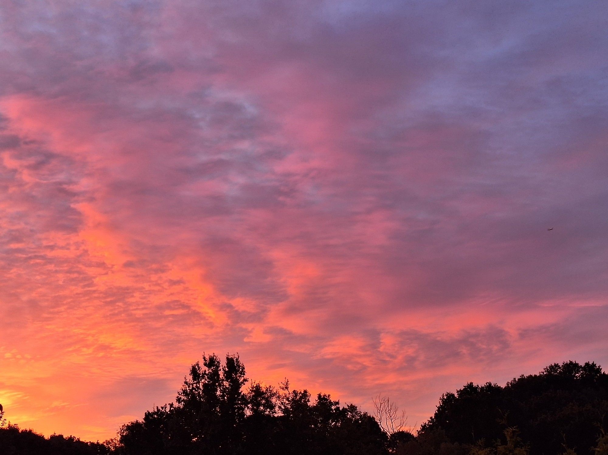 Sunrise red & pink sky