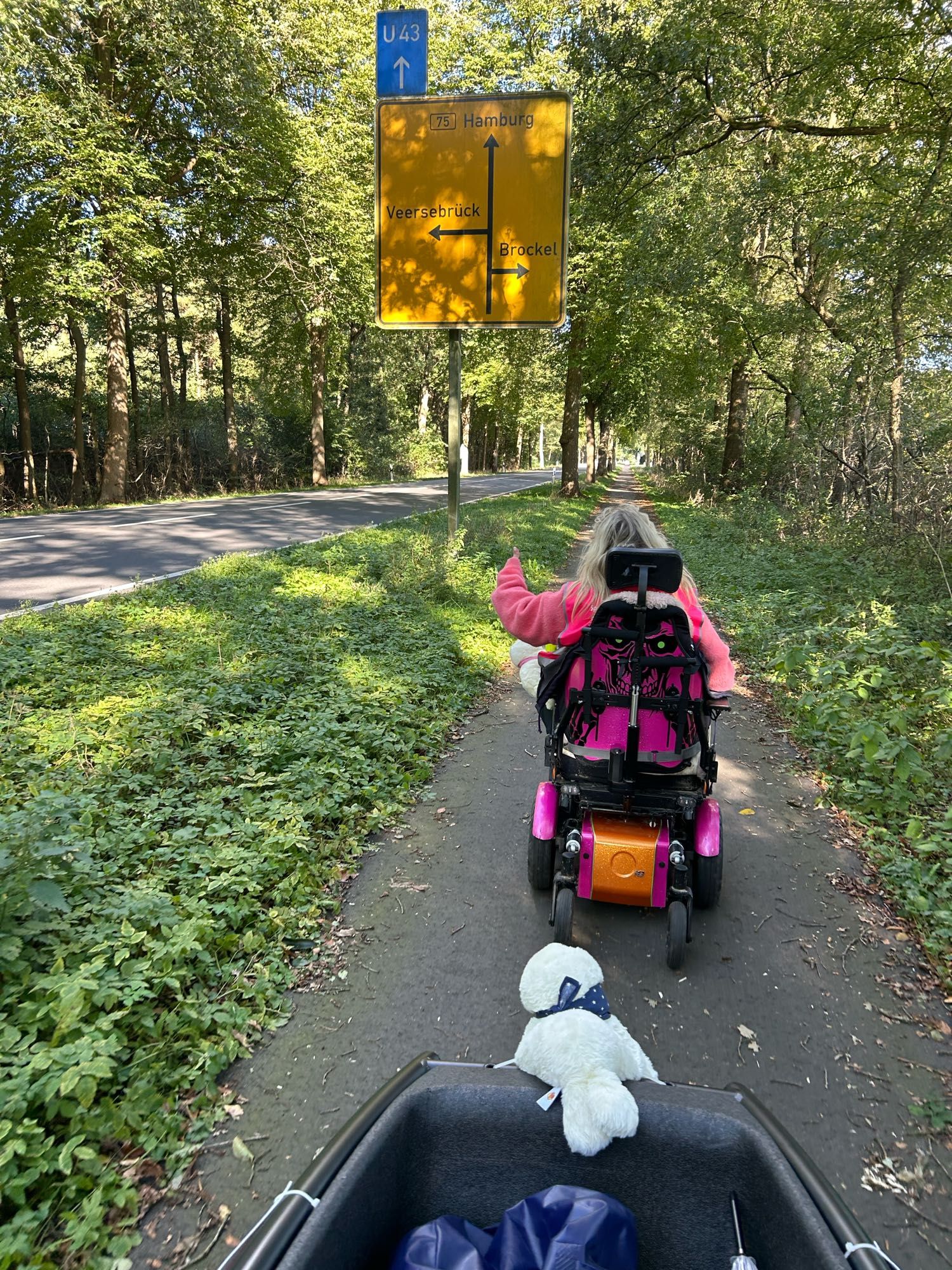 Das Bild zeigt eine Person in einem elektrischen Rollstuhl, die auf einem schmalen Weg durch einen bewaldeten Bereich fährt. Die Person trägt eine pinke Jacke und hat lange, blonde Haare. Vor ihr befindet sich ein gelbes Verkehrsschild mit Richtungsangaben: Hamburg geradeaus, Veersebrück nach links und Brockel nach rechts. Oben auf dem Schild ist ein blaues Schild mit der Aufschrift "U43" und einem Pfeil nach oben. Im Vordergrund des Bildes ist die Box eines Lastenrades zu sehen, in dem ein weißes Plüschtier mit einem blauen Halstuch sitzt. Rechts neben dem Weg ist eine Straße, die von Bäumen gesäumt ist. Die Szenerie ist von viel Grün umgeben, was auf einen sonnigen Tag hindeutet.