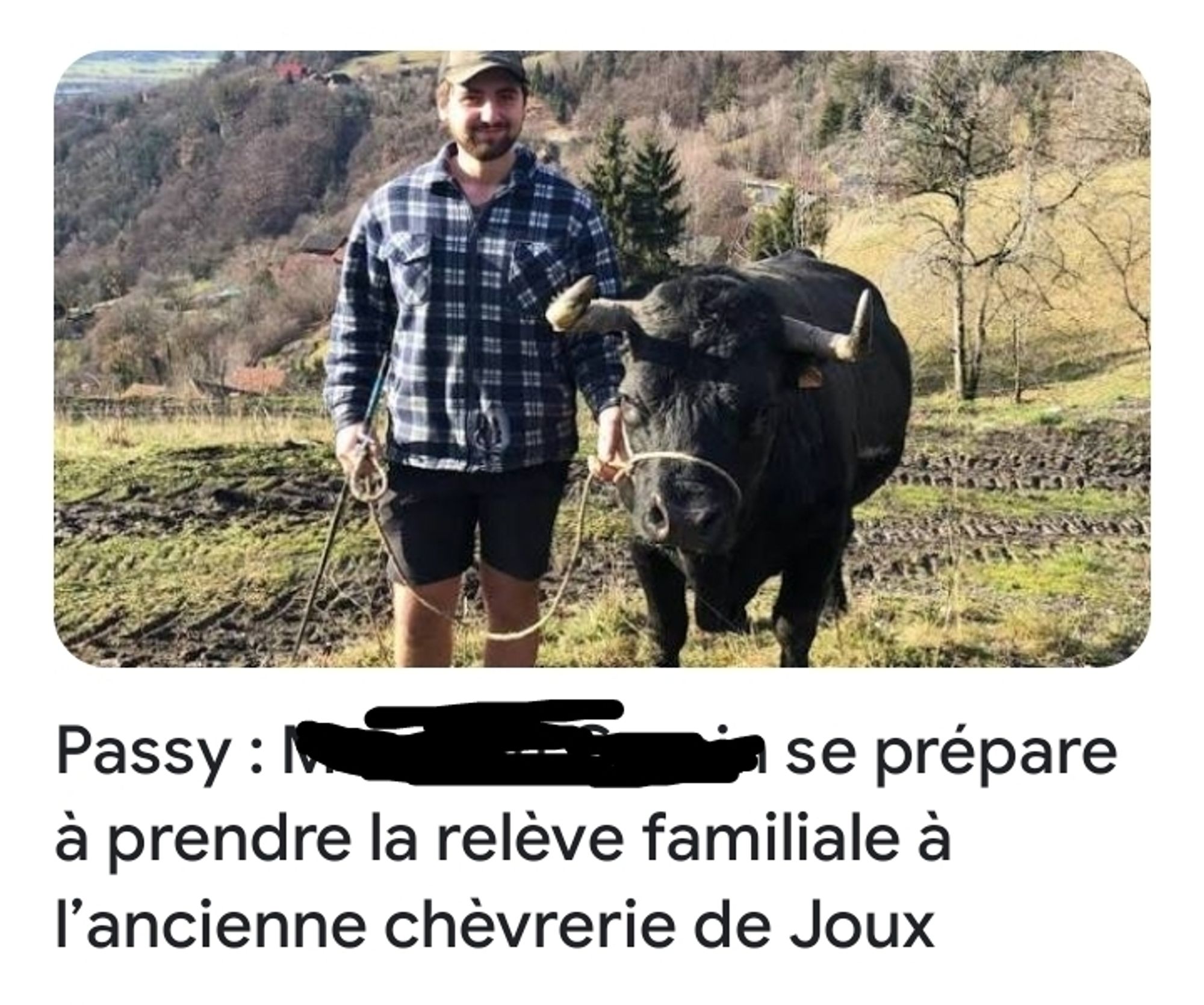 Article de journal parlant de chèvre avec un Vache en illustration