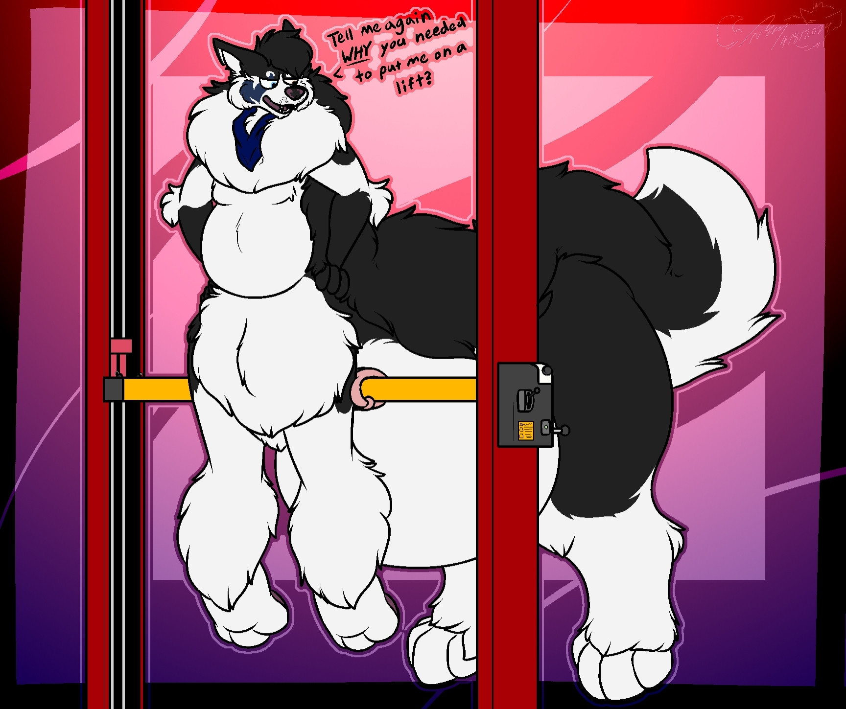 Mako, a husky/malamute mix in his taur form, being raised of the ground by a automotive lift, and he is unamused by the circumstance.

Mako: "Tell me again WHY you needed to put me on a lift?"