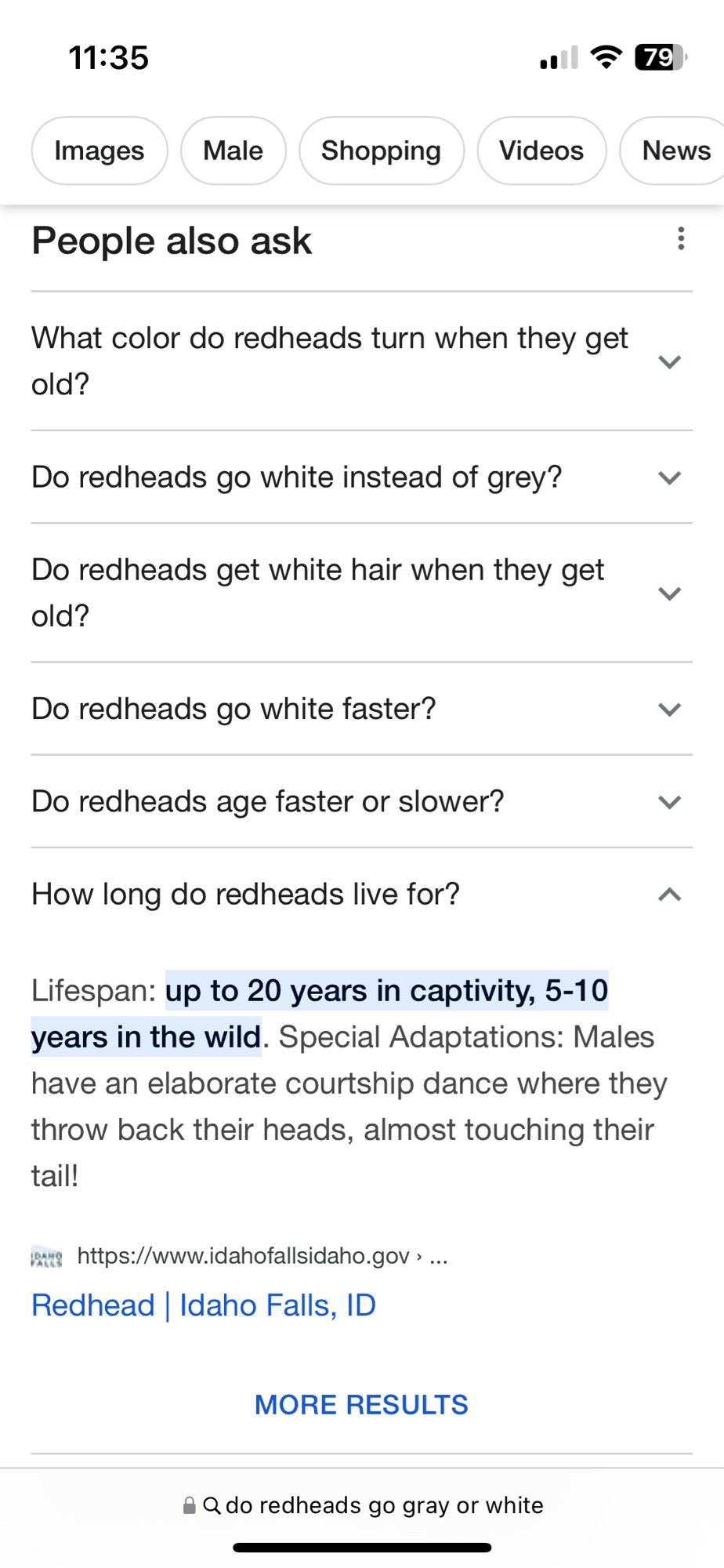 In the “people also ask” section of the results, there is a question: “how long do readheads live for” and the answer is:

“Lifespan: up to 20 years in captivity, 5-10 years in the wild. Special Adaptations: Males have an elaborate courtship dance where they throw back their heads, almost touching their tail!”