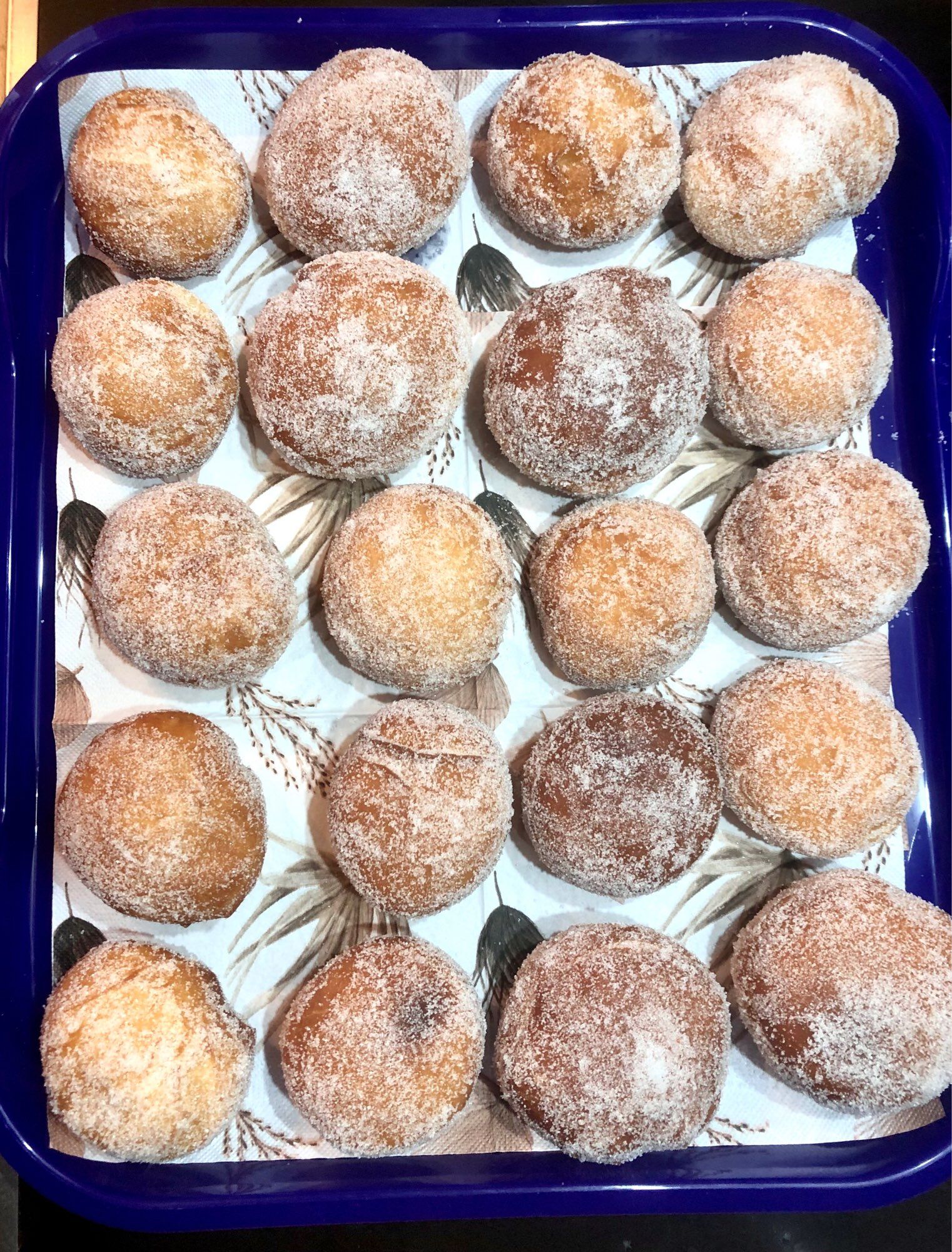 Rechteckiger Kuchencontainer, gefüllt mit 20 Fasenachtskiechle/Berliner/Krapfen/Pfannkuchen.