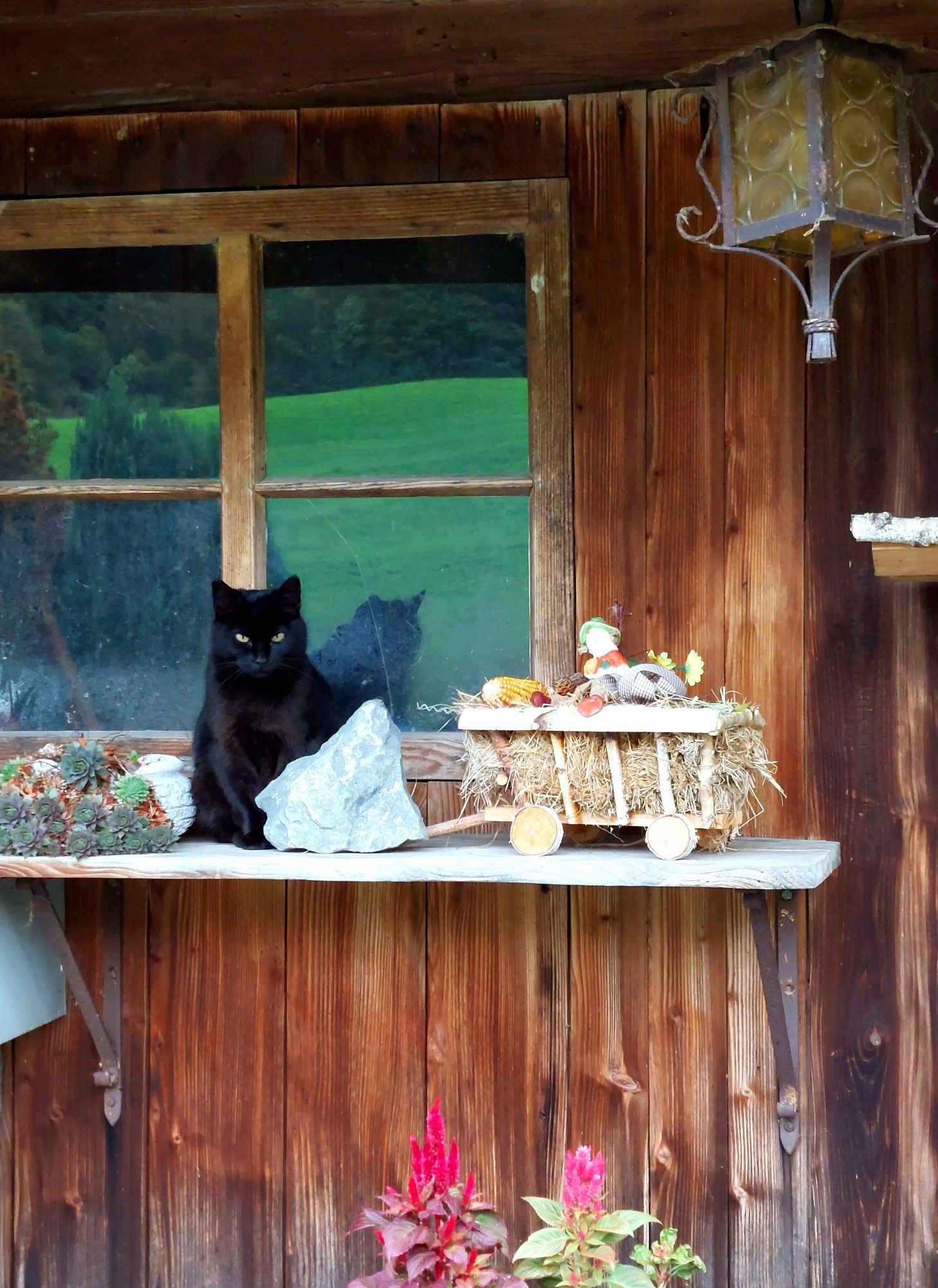 A black cat sitting behind a rock on a shelf.