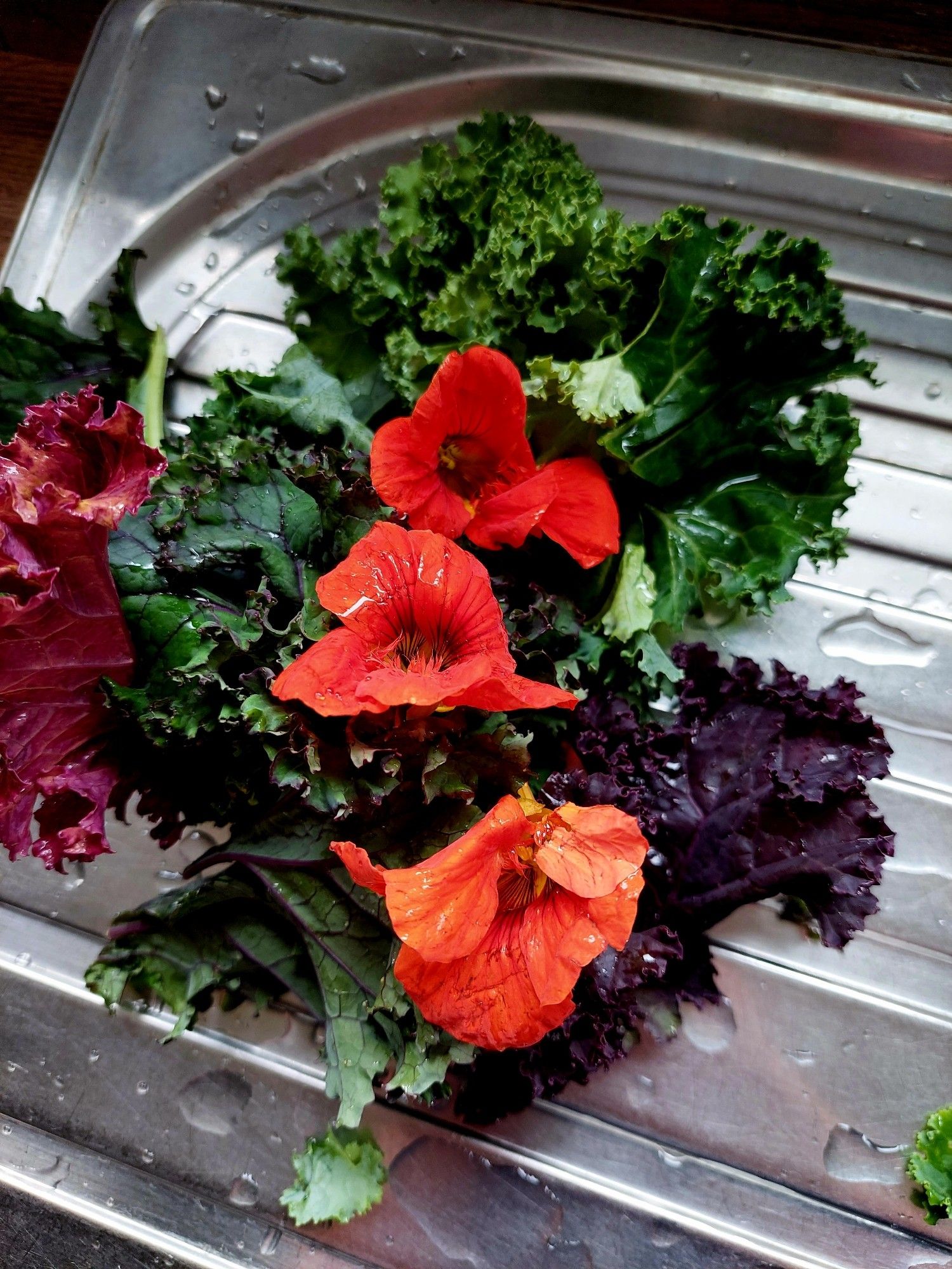 Kale and flowers