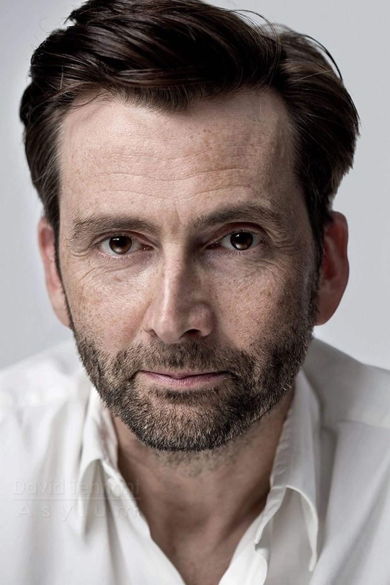 Close up picture of David Tennant. He’s wearing a white shirt. His eyes and hair are brown. He has a subtle smile and a short beard. He’s rather dashing in my humble opinion.