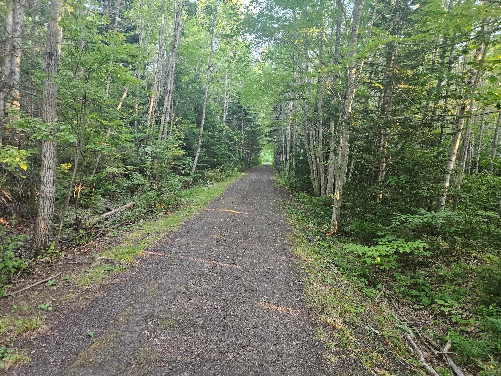 The Bouctouche Line trail in Irishtown Nature Park.