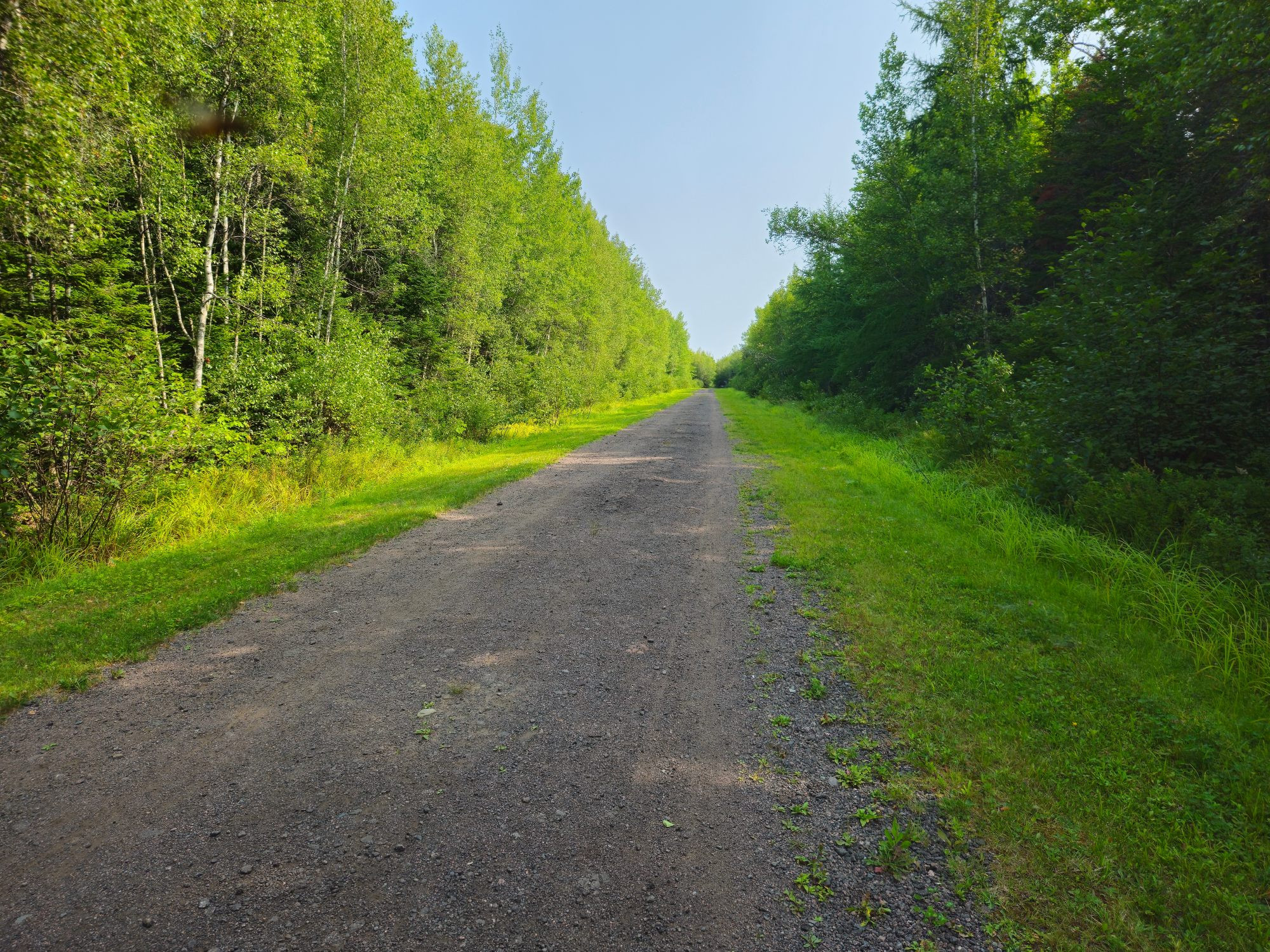 The Caledonia trail in irishtown nature park.