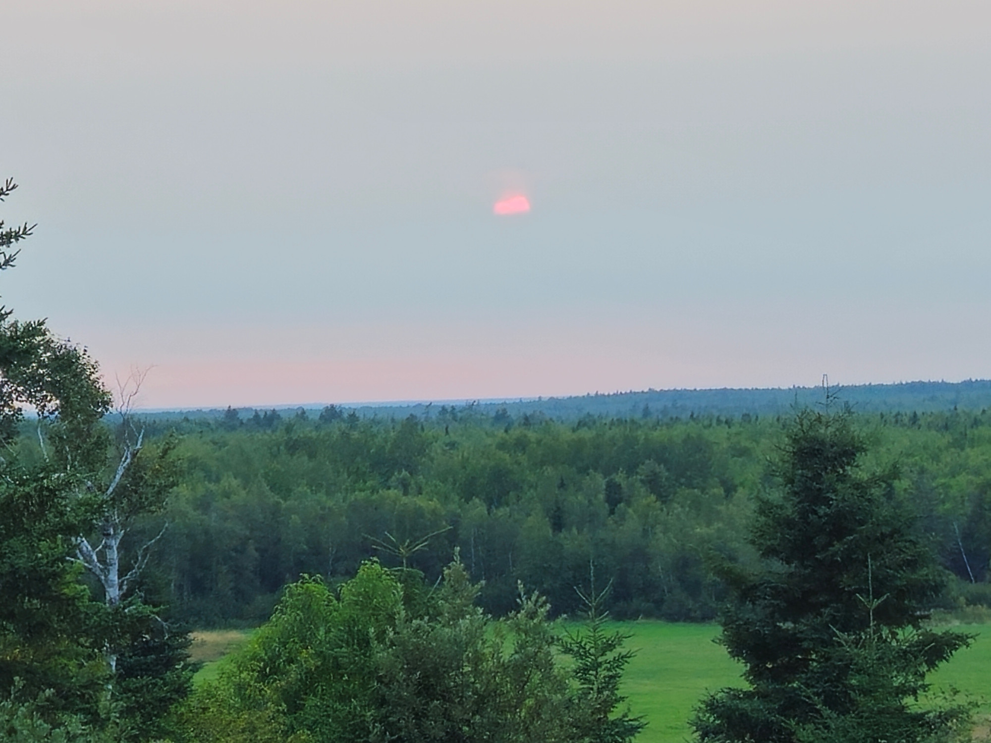 The red sun over the forest starting to hide behind haze.