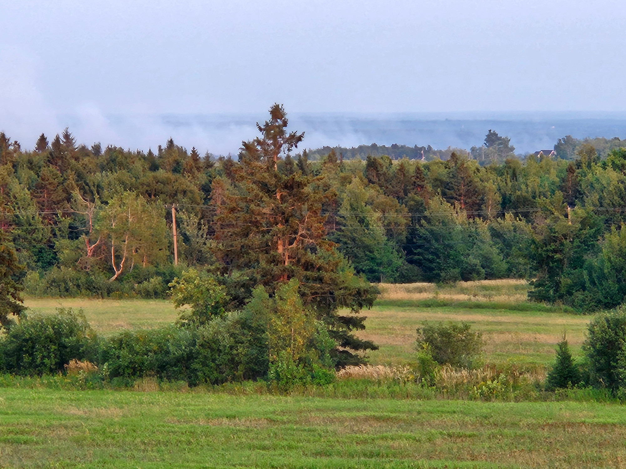The August 10 2025 Irishtown forest fire viewed from Indian Mountain Road.