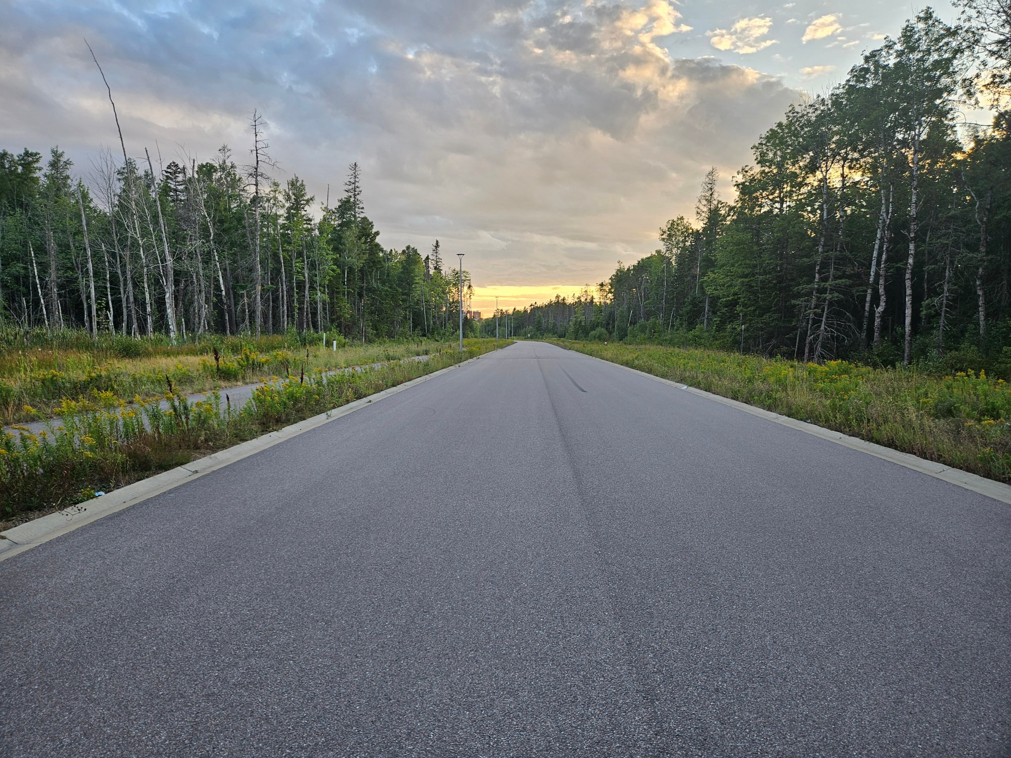 Rue de la Francophonie. This is not a busy road. It's forested on both sides.