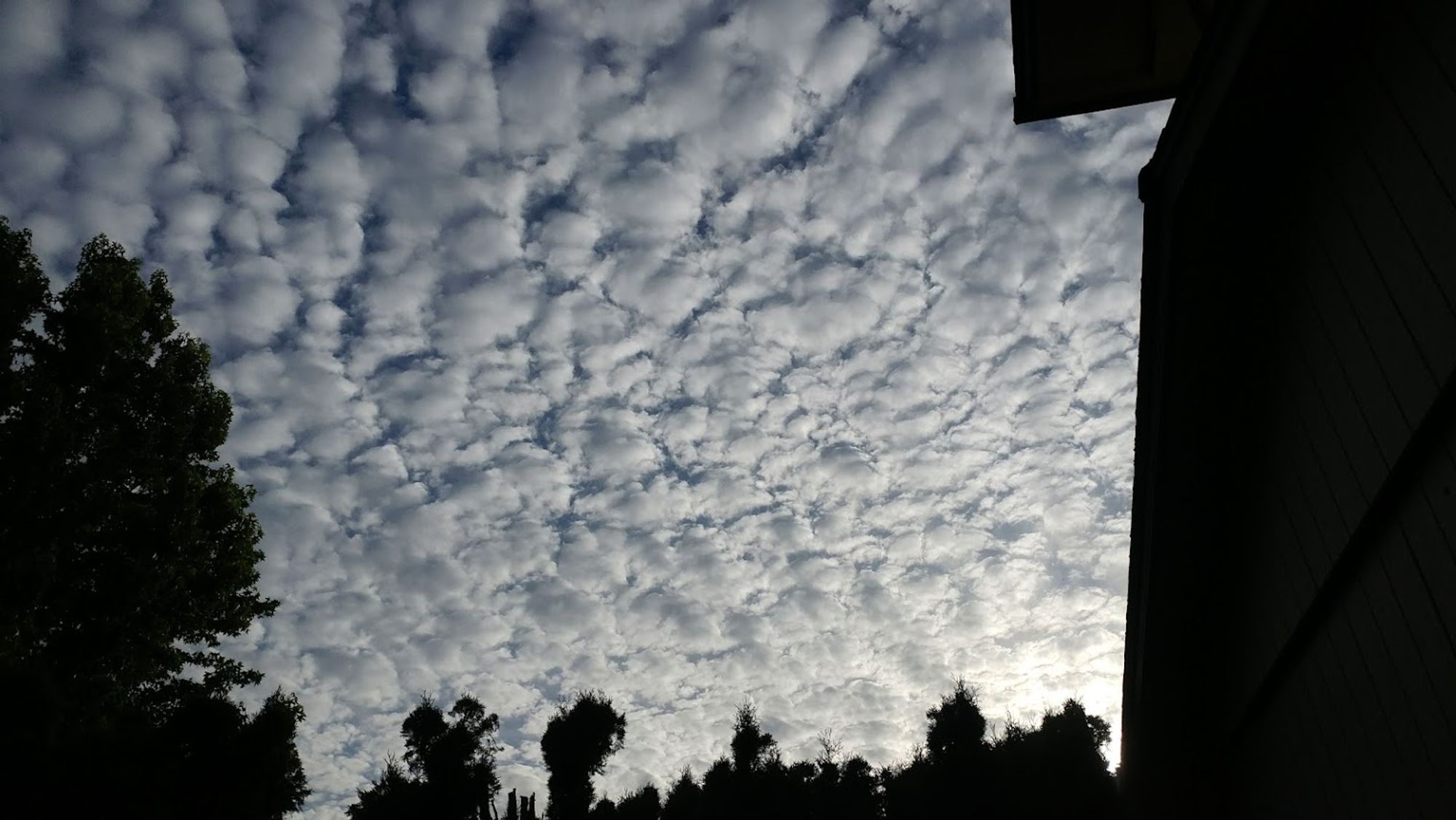 Mammatus clouds at sunset, Vancouver WA, June 2024