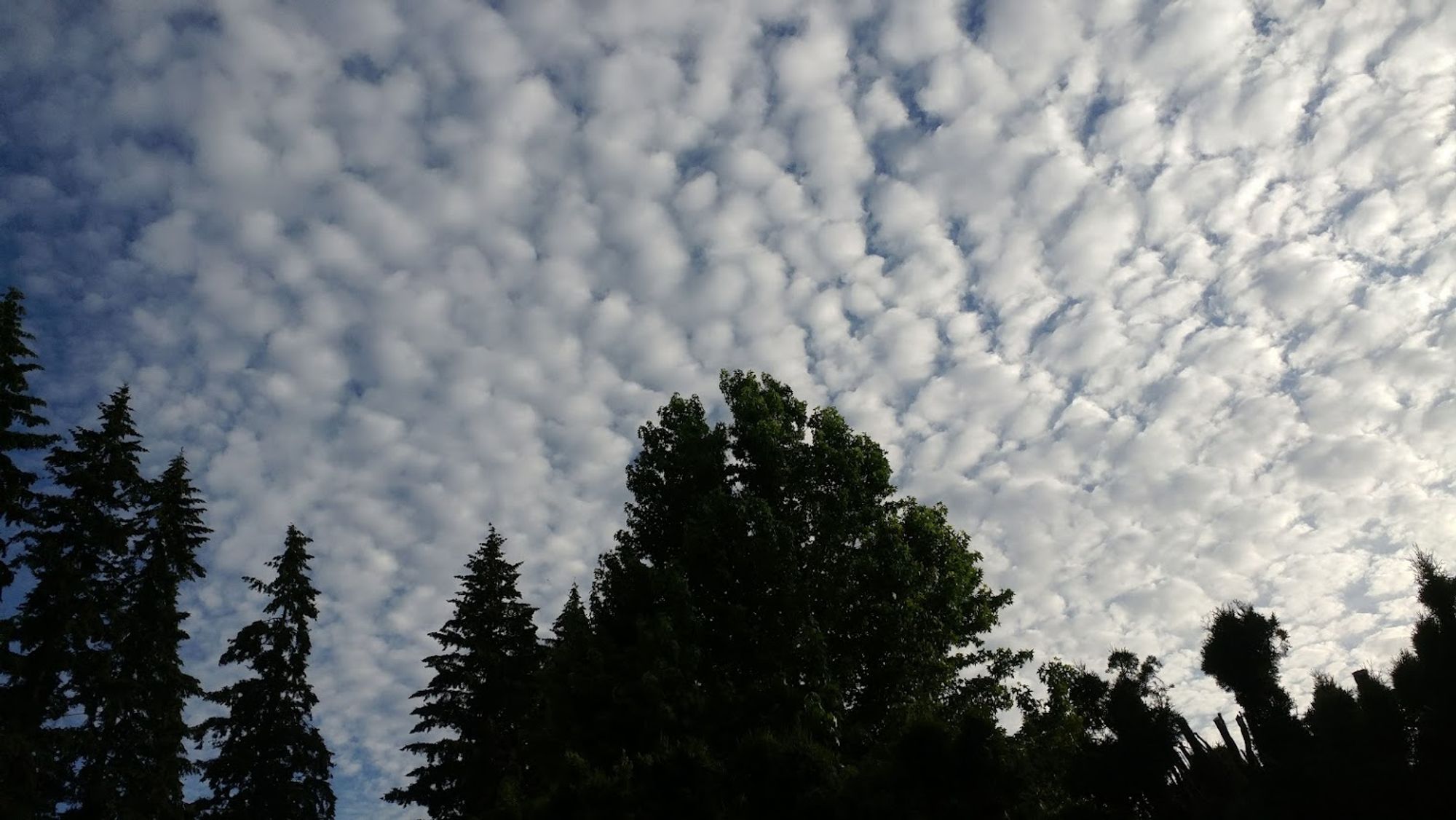 Mammatus clouds June 2024