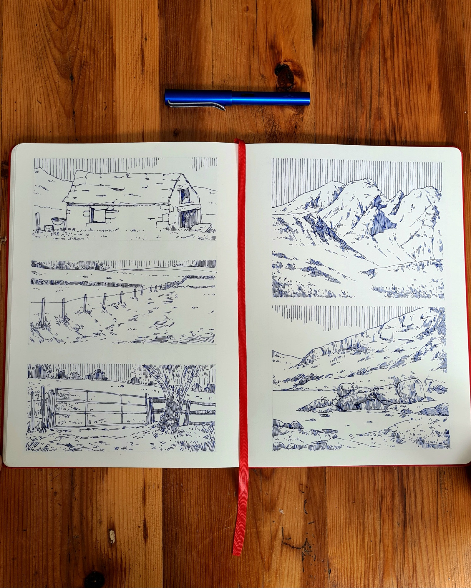 A photo of an open sketchbook with a collection of my fountain pen ink drawings. The drawings are monochrome blue and created with a fountain pen line hatching shading technique 