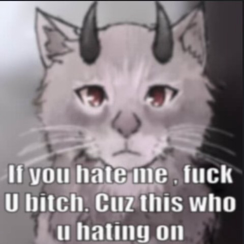 Gray Cat with red eyes and black horns looking directly at camera captioned “If you hate me , fuck U bitch. Cuz this who u hating on”