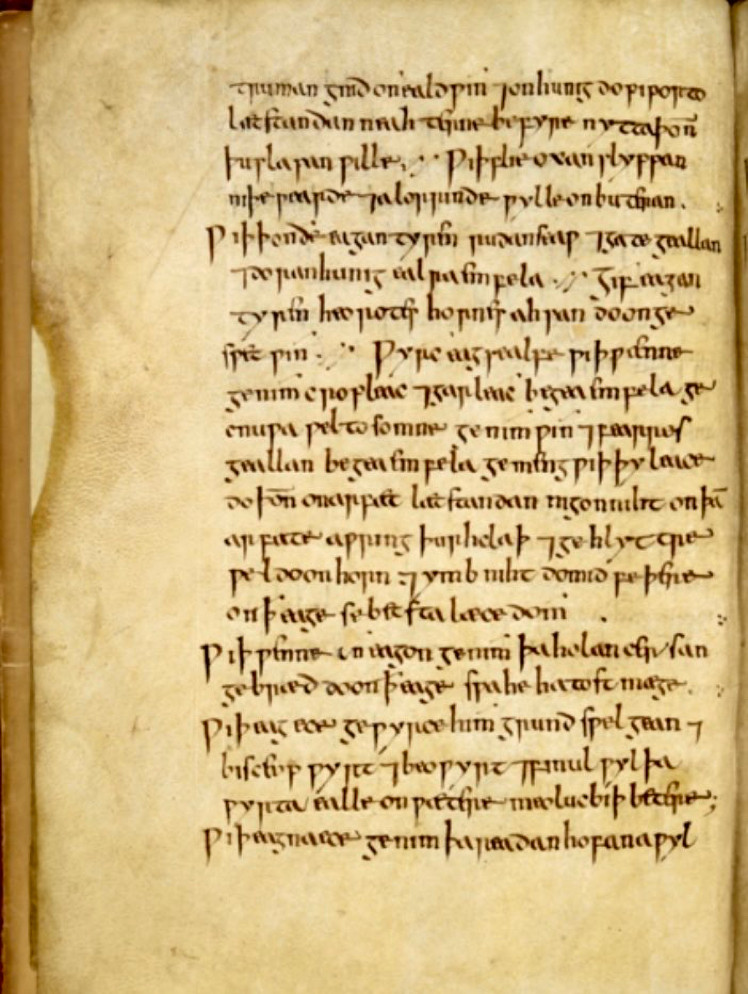 Image: 10th century, British Library, Bald’s Leechbook, Royal MS 12 D XVII         Research: Harrison, Freya et al., ‘A 1,000-Year-Old Antimicrobial Remedy with Antistaphylococcal Activity’, mBio, Vol. 6, 4 e01129, 11 August 2015, See also: www.nottingham.ac.uk/news/pressreleases/2015/march/ancientbiotics---a-medieval-remedy-for-modern-day-superbugs.aspx