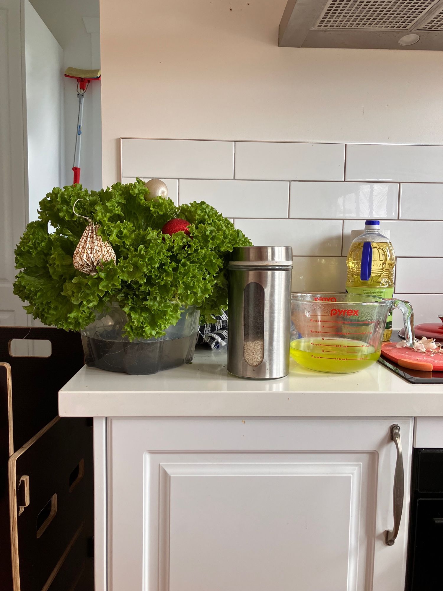 Improbably immense head of lettuce decorated with Christmas baubles in a less-than-tidy kitchen.