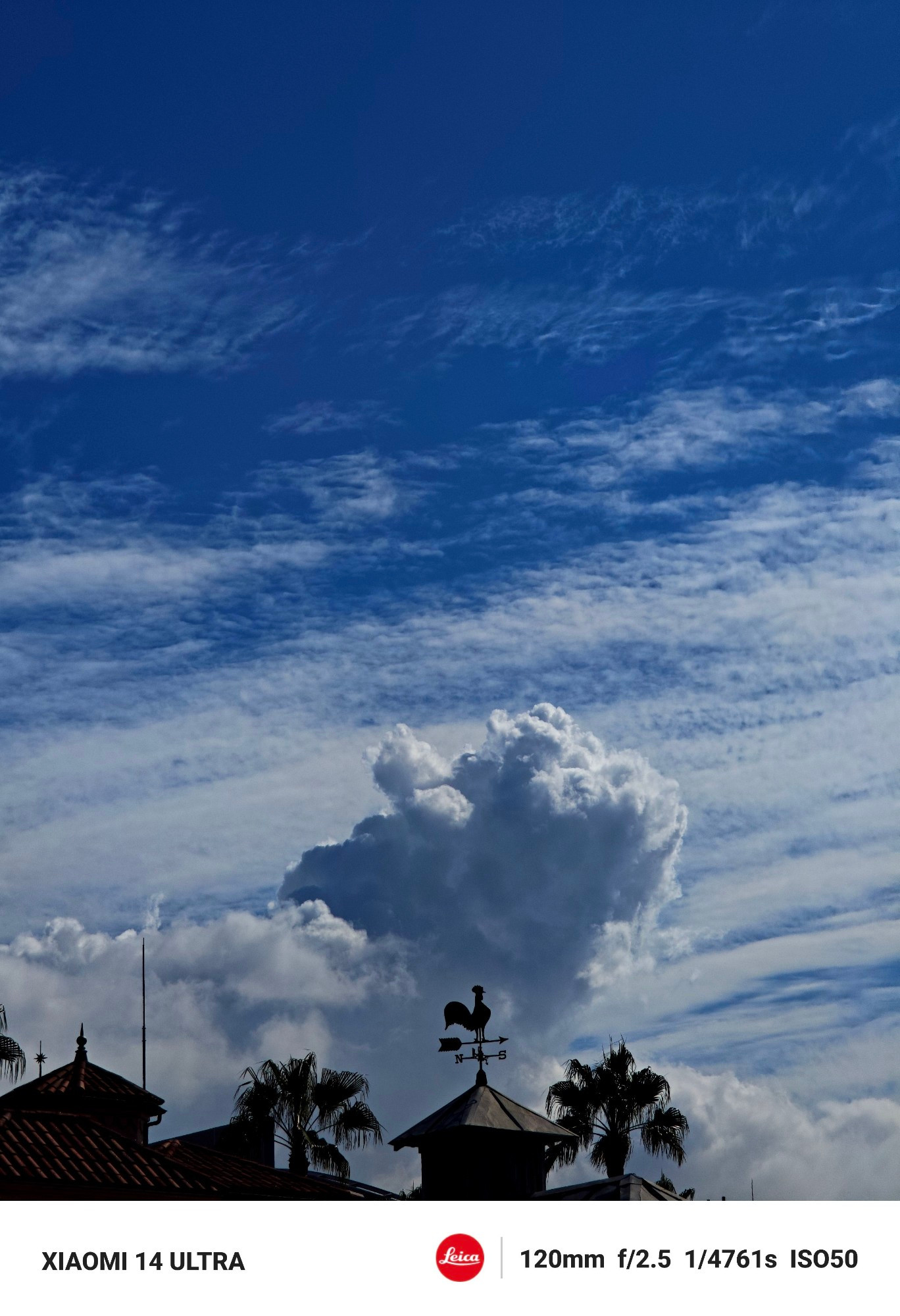 【入道雲と秋の空】

This photo was taken with Xiaomi 14 Ultra.

#mobilephotography #Xiaomi14Ultra #photo #bluesky #cloud #japan